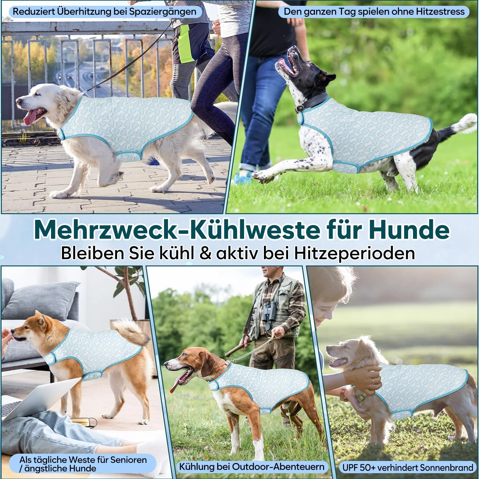 Gilet rinfrescante per cani – Protezione UV, regolabile, reversibile, raffreddamento evaporativo