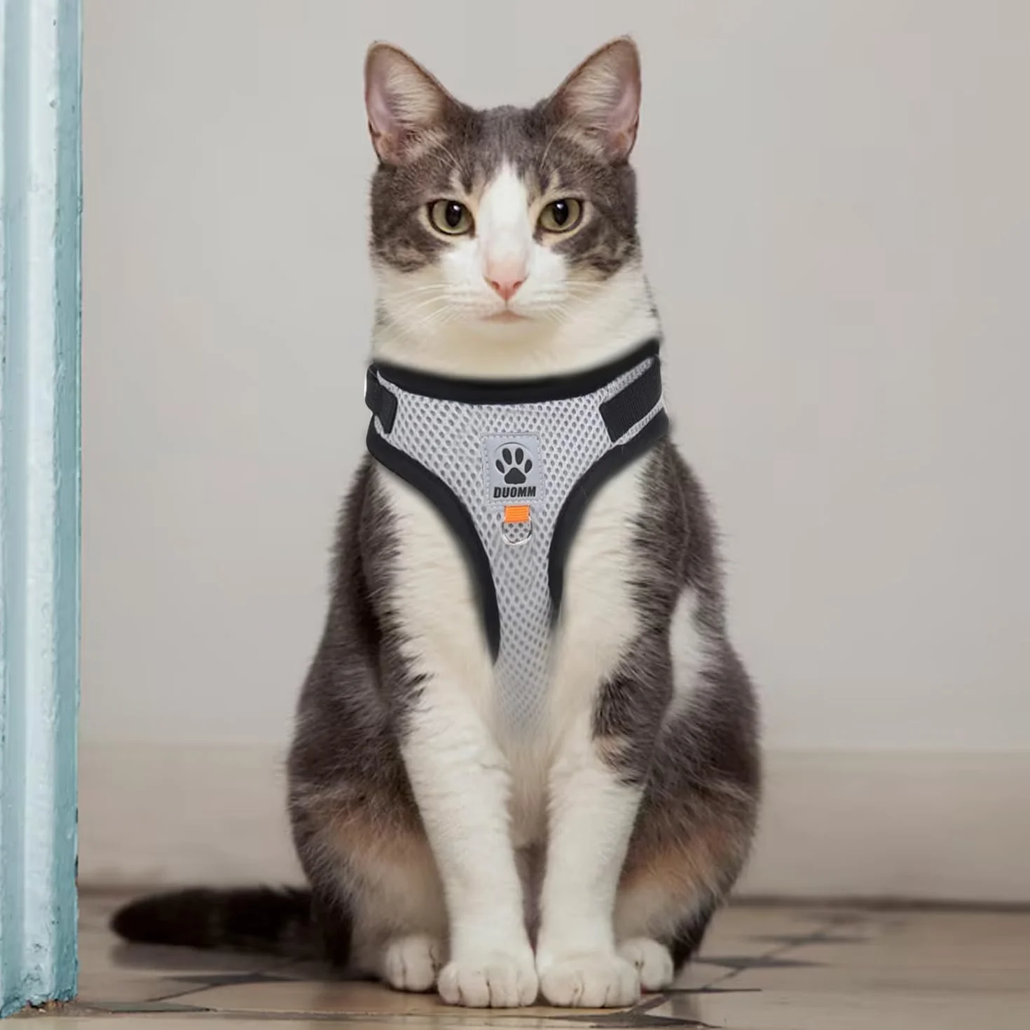 Pettorina e Guinzaglio per Cani, Pettorina Riflettente per Cuccioli, Set di imbracatura e guinzaglio per cuccioli, gatti e gattini (Grigio, S)