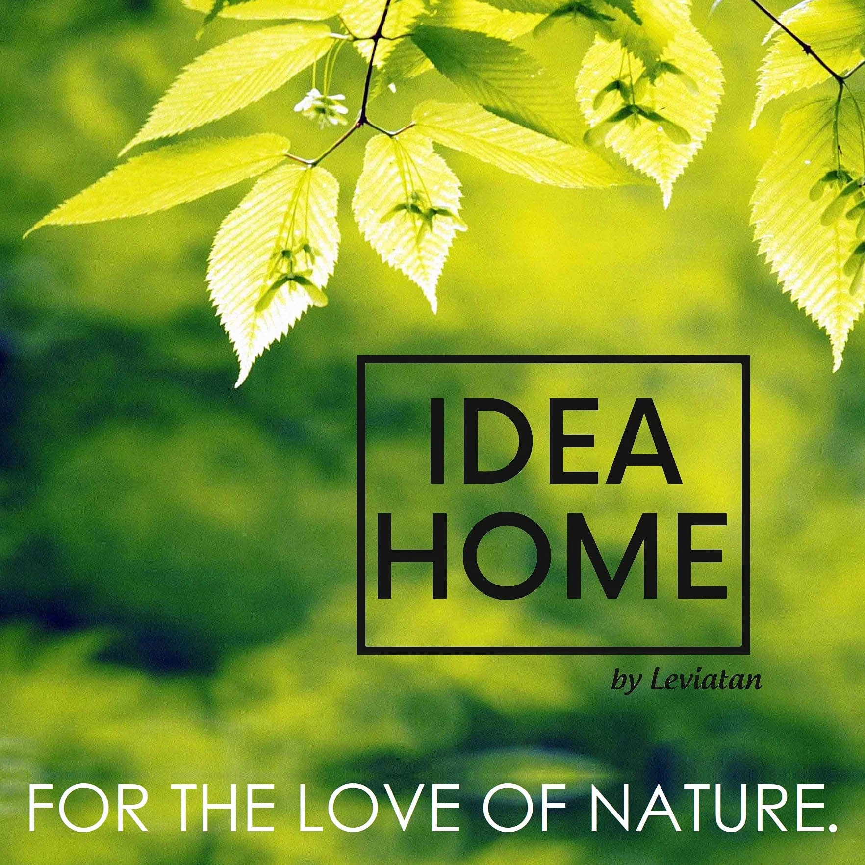 LEVIATAN PARIDAE Nidi Naturali per Cinciallegra Foro 33 mm Legno Massello Casette Uccelli Resistenti Intemperie