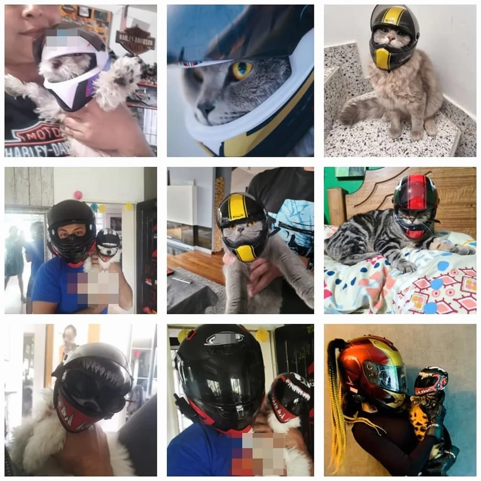 Casco Integrale da Moto per Cani E Gatti, Casco da Moto per Animali Domestici da Esterno, Accessori per Foto di Animali Domestici