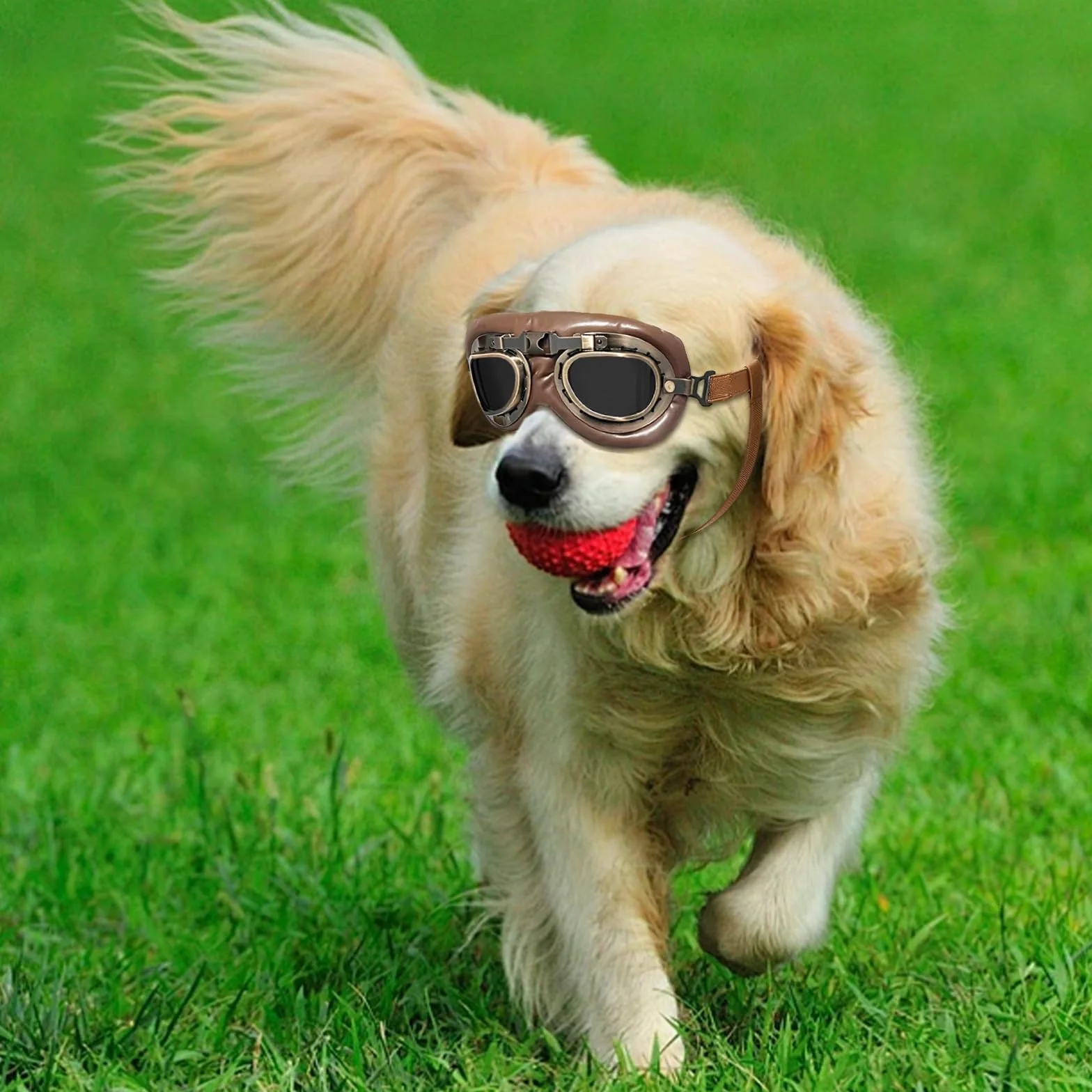 Occhiali da Sole per Cani, Retrò Occhiali Cane, Protezione UV Occhialis da Sole Cane, Fascia Elastica Regolabile, Pieghevole Pet Dog Occhialis Protezione, Adatto a Cani di Taglia Media e Grande