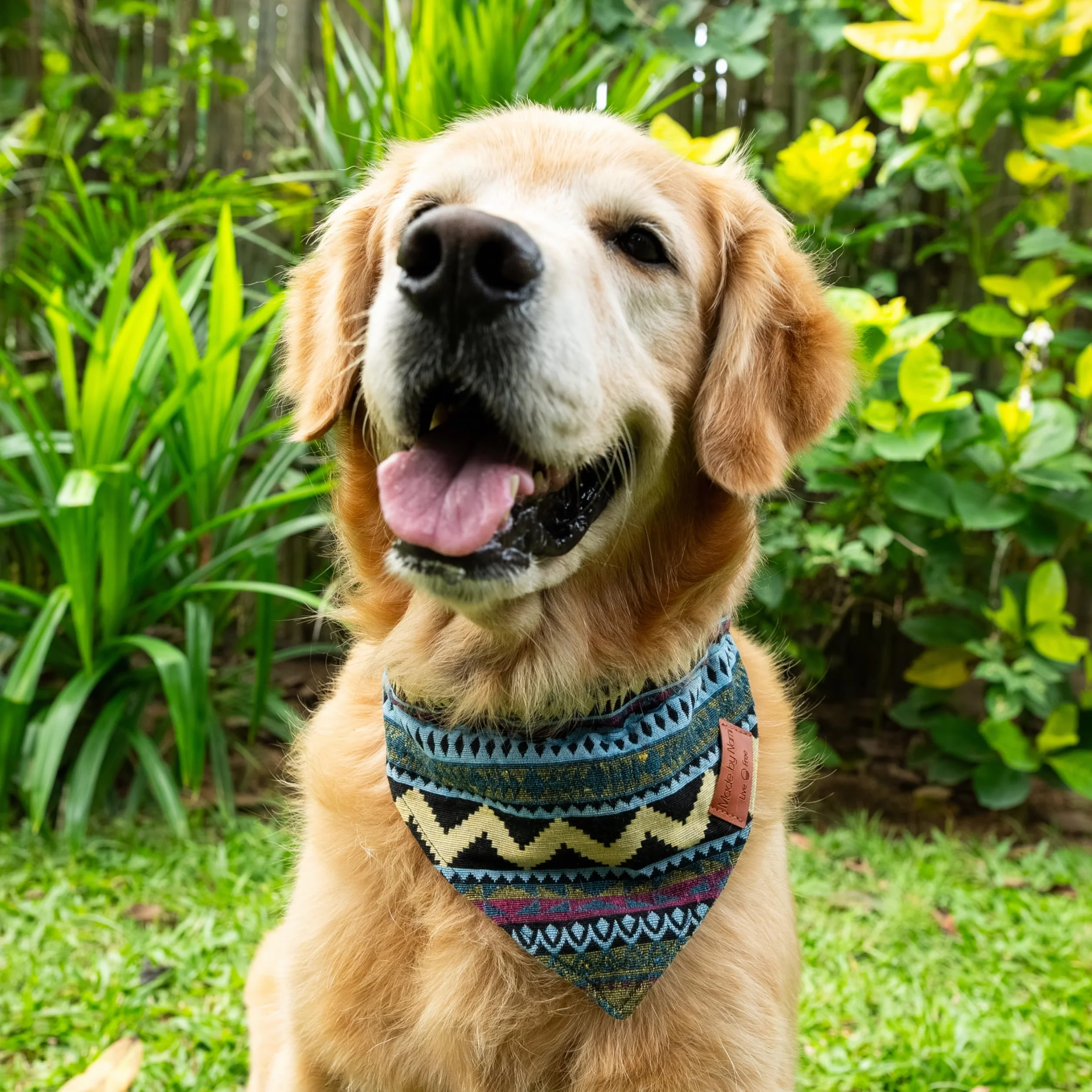 Nami Foulard per cani Boho varie dimensioni Blu M