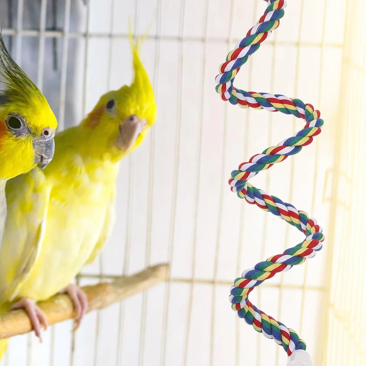 Milisten Trespolo in Corda Di Cotone Spirale per Uccelli Altalena per Pappagalli Giocattolo in Corda Accessorio per Gabbia