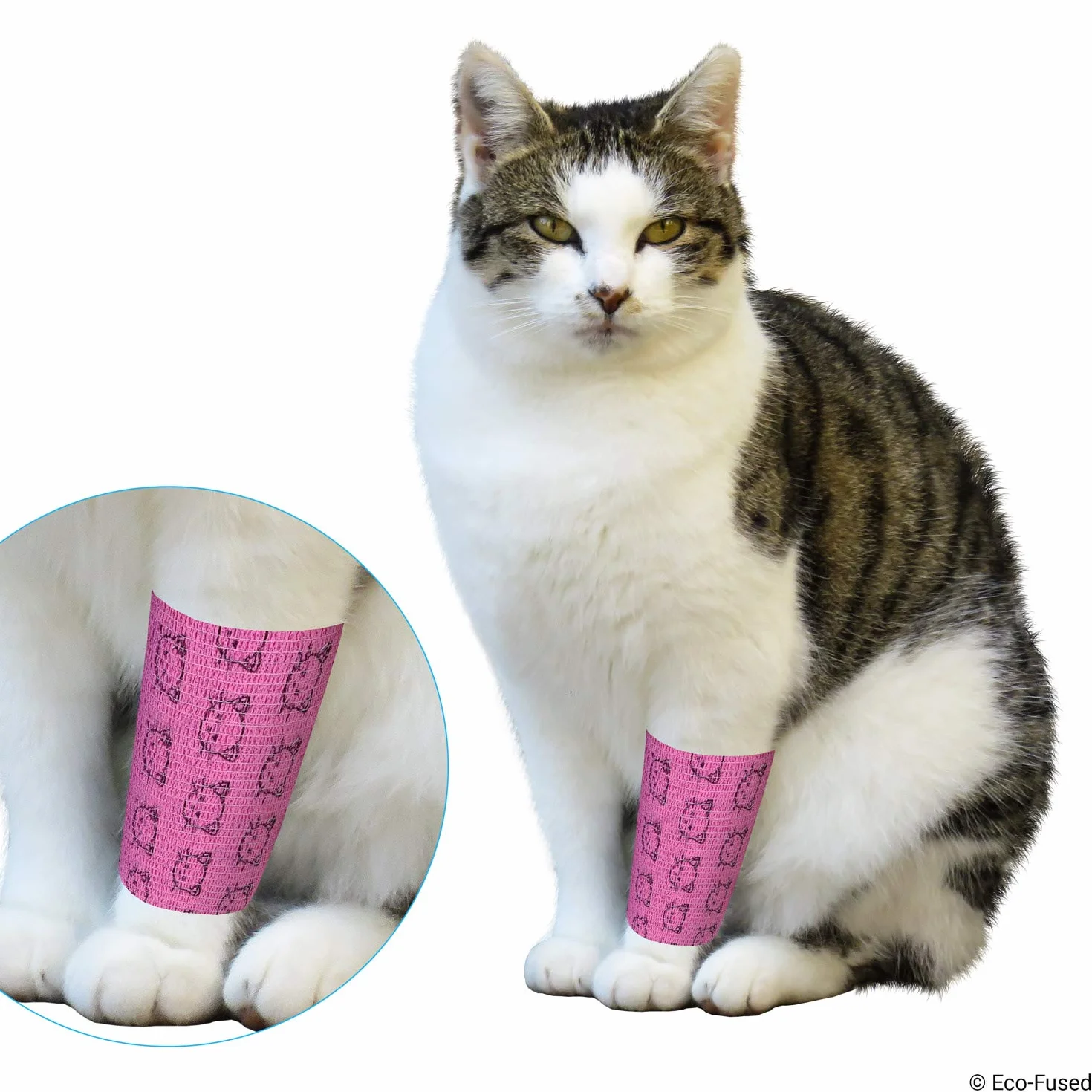 Fasce Autoadesive - Nastro per Ferita per i Gatti - Confezione da 6 - Supporta Muscoli e Articolazioni - Facile da Applicare e Rimuovere - Non si Attacca ai Capelli - Elastico, Idrorepellente
