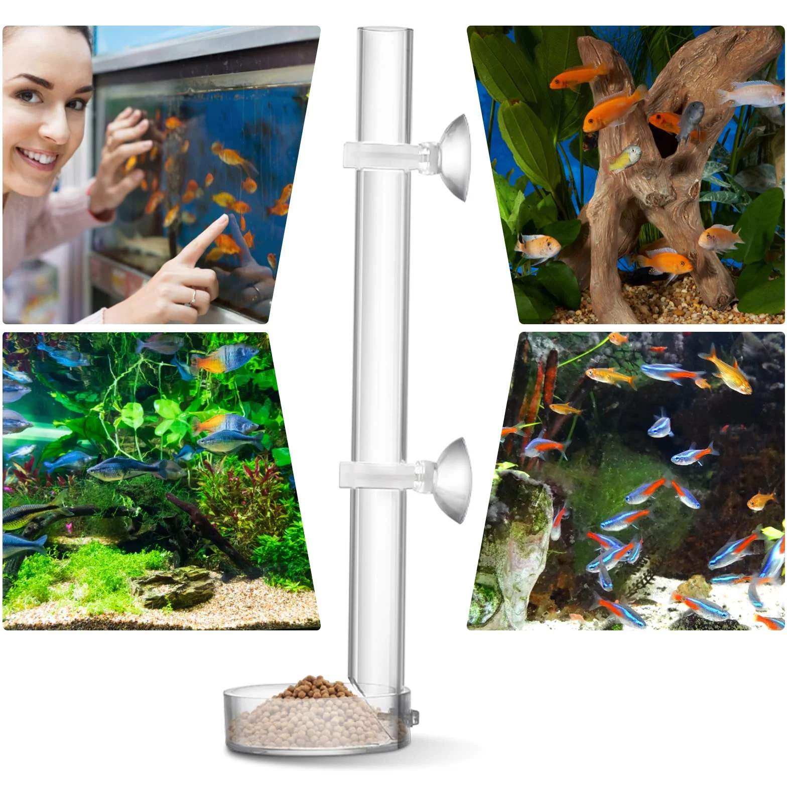 cobee Mangiatoia per Gamberetti in Acrilico, Mangiatoia per Gamberi per Pesci d'Acquario Trasparente Durevole, Tubo per Alimentazione per Gamberetti Assemblato - Tubo da 20 cm e Ciotola da 6,5 cm