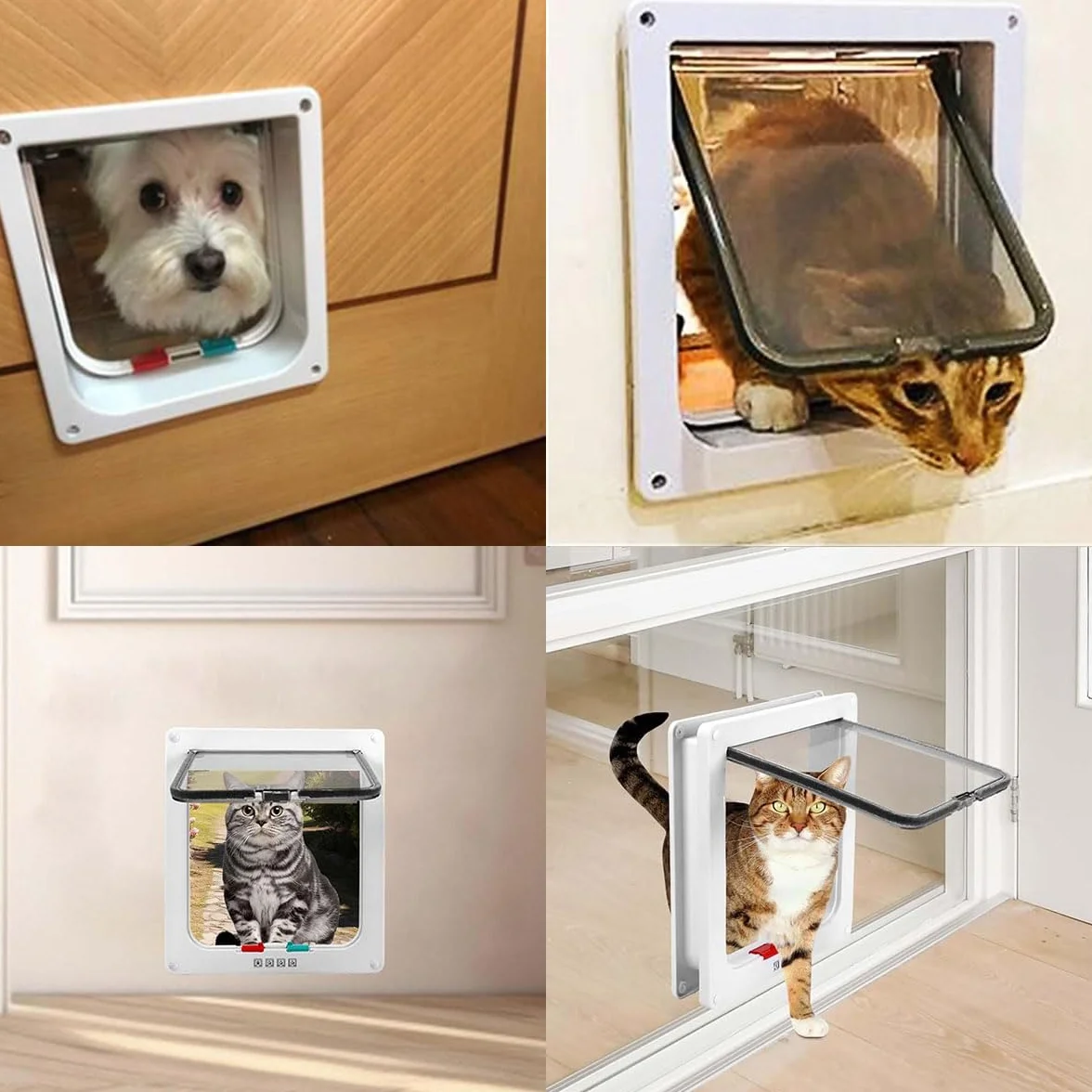 Porta per Gatti e Cani, Gattaiola 4 Vie, Porticina per Animali Domestici (M)
