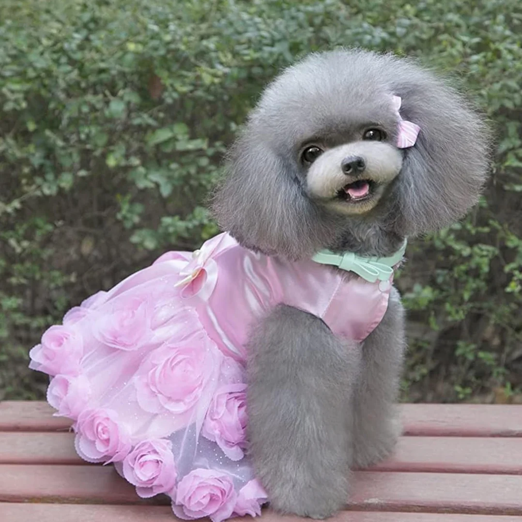 Cane Vestito di Lusso Cucciolo Gonna Vestiti per Cani Principessa Abiti da Sposa Abito da Sera Tutu Gonna Fiore Rosa Bowknot Vestito per Piccolo Cane