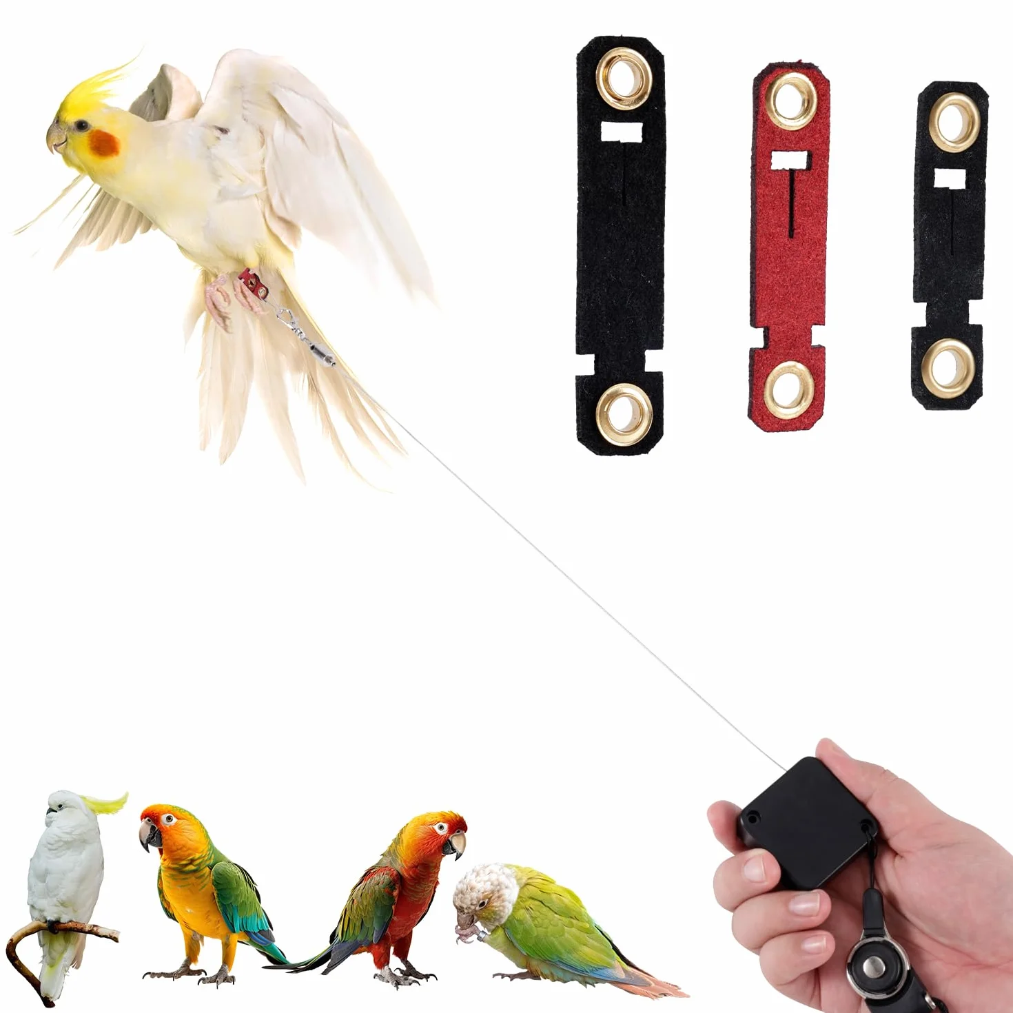 Allungabile Guinzaglio per Uccelli, 2m Imbracatura per Uccelli con 3 Anelli per i Piedi Guinzaglio per Pappagalli Kit di Addestramento per volo all'Aperto per Calopsitte Parrocchetti (Nero)