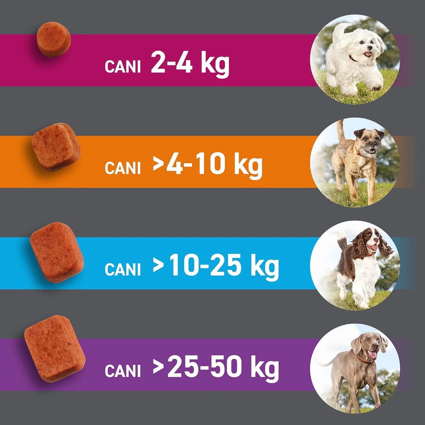 FRONTPRO 3 Compresse Masticabili Antiparassitario per Cani 10-25 kg Afoxolaner 68 mg Antipulci Zecche