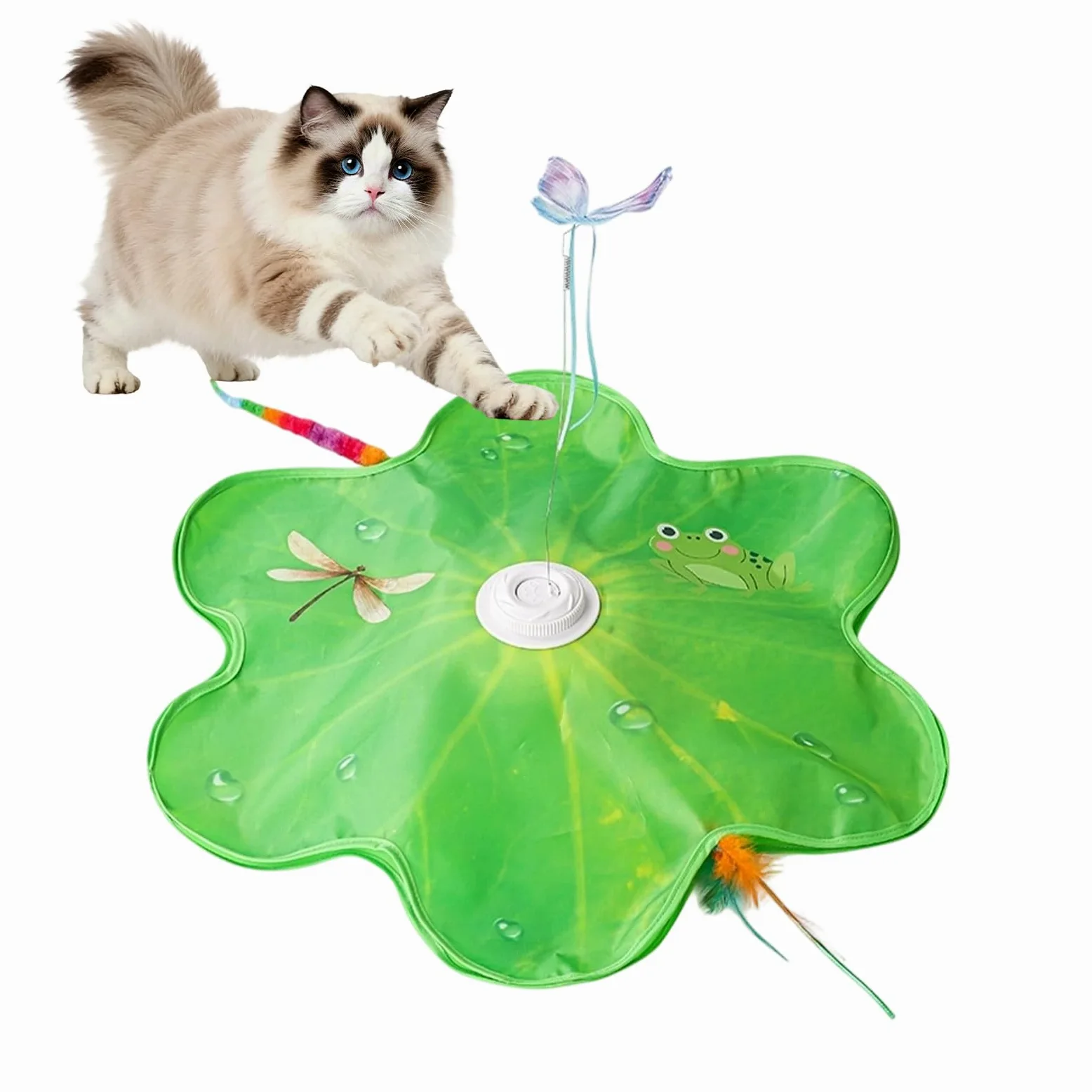 TWSOUL Giocattolo elettrico per gatti da interni, gioco interattivo con molla automatica, suoni degli uccelli e ricarica USB, giocattolo per gatti e gattini, verde