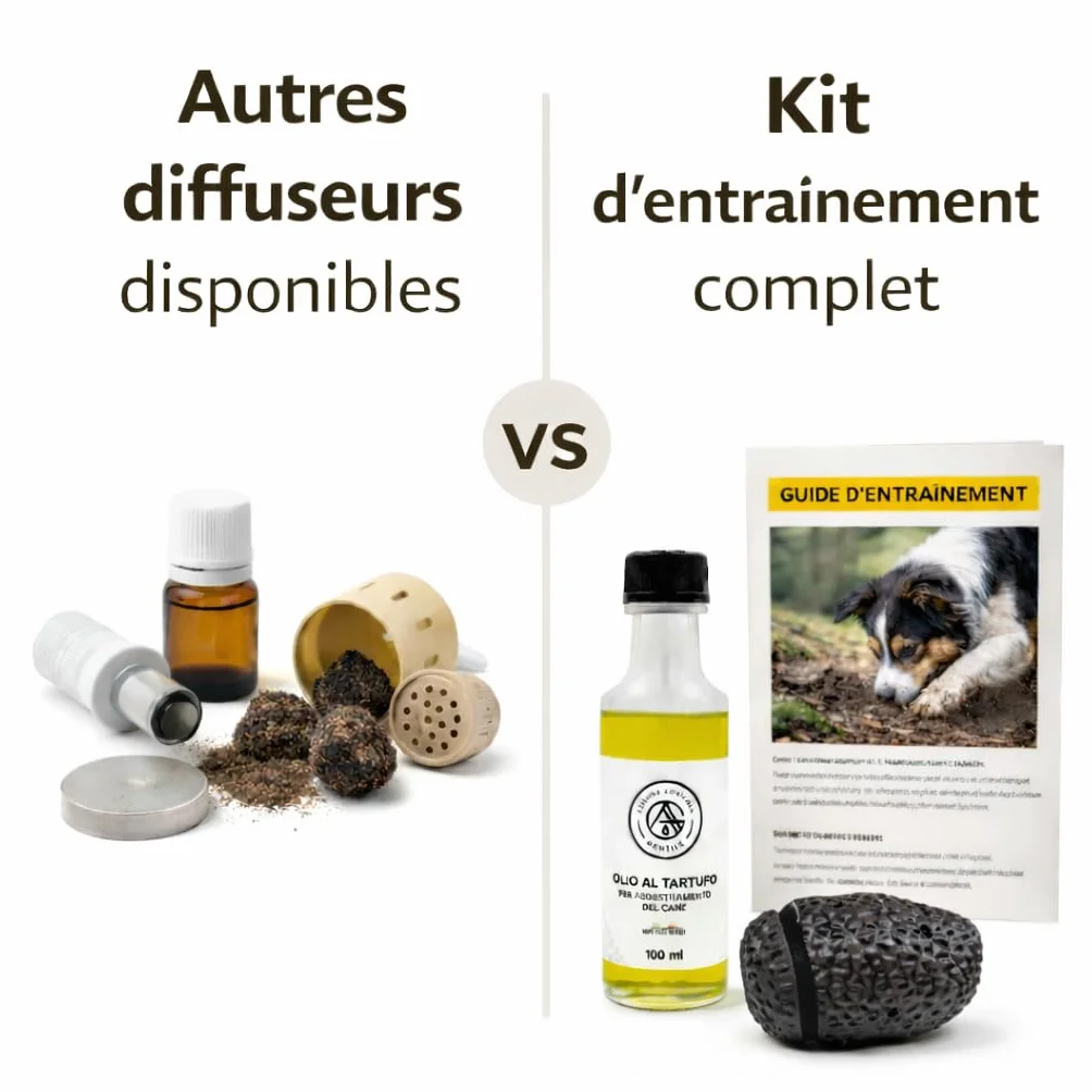 Kit Professionale con Finto Tartufo Nero Completo con Guida e Olio da addestramento Cani Tartufo addestramento Cane da Tartufo, Tartufo Sintetico ovetto per addestramento
