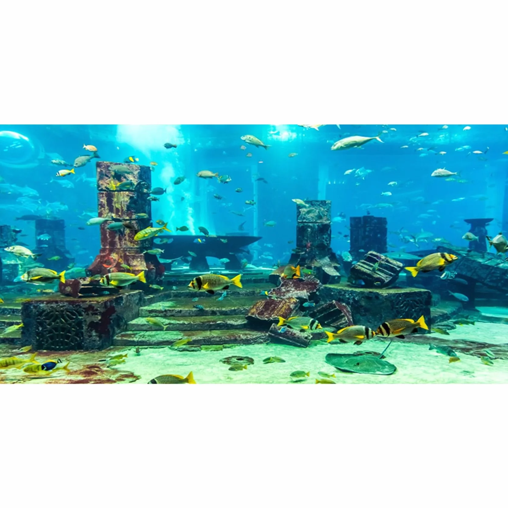 120x50cm Sottomarino Tema Acquario Sfondo Colorato Corallo Pesce Tropicale Rovine Mondo Subacqueo Pesce Serbatoio Poster Sfondo Vinile