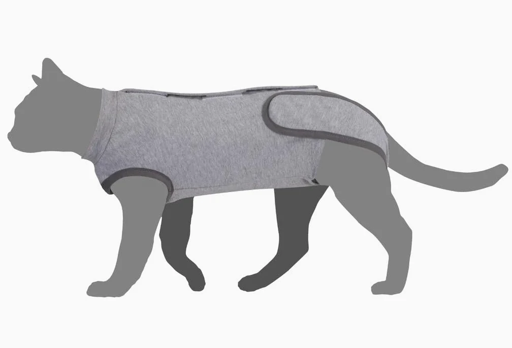 Camon Tutina Post-Operatoria per Gatti Supporto Post Operatorio in Tessuto Morbido e Traspirante Problemi Dermatologici (C227/A - S/M 32-36 cm)