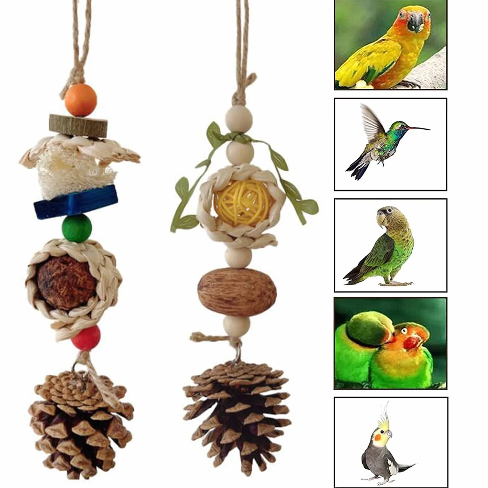 Giocattolo da Masticare per Pappagalli, 5 Pezzi per Uccelli, Cockatiels e Pappagallini