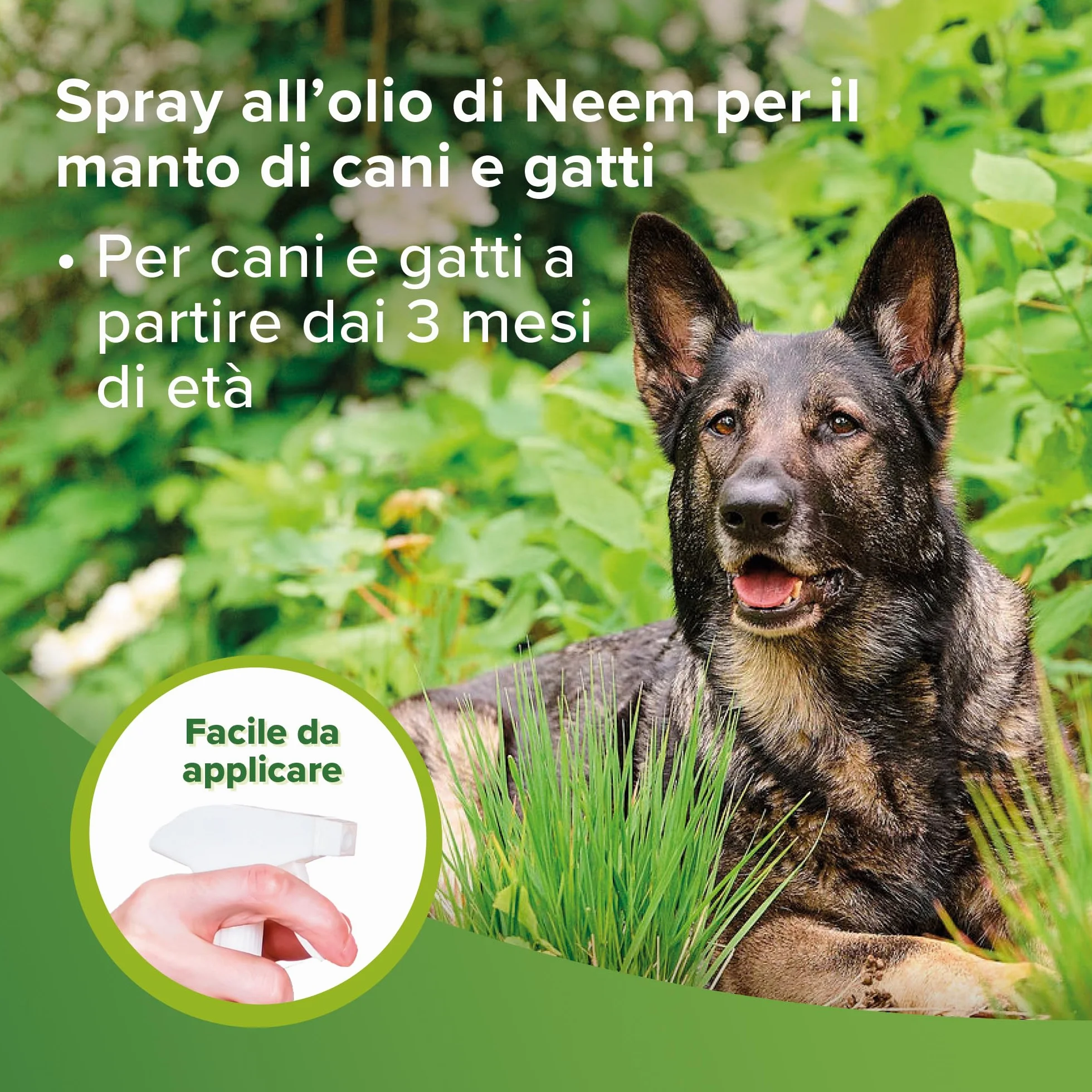 Beaphar Protezione Naturale, Spray Barriera per Cane e Gatto, con Olio di Neem e Lavanda, 250 ml