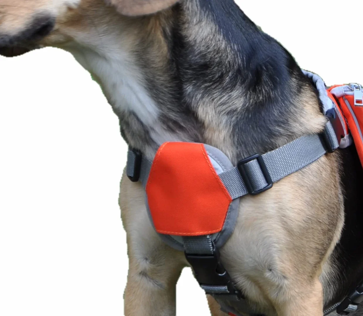 Zaino bisaccia per cani regolabile per trekking, imbracatura con manico per viaggi. Doppia tasca grande per accessori. Sicurezza e striscia riflettente, traspirante comoda leggera.