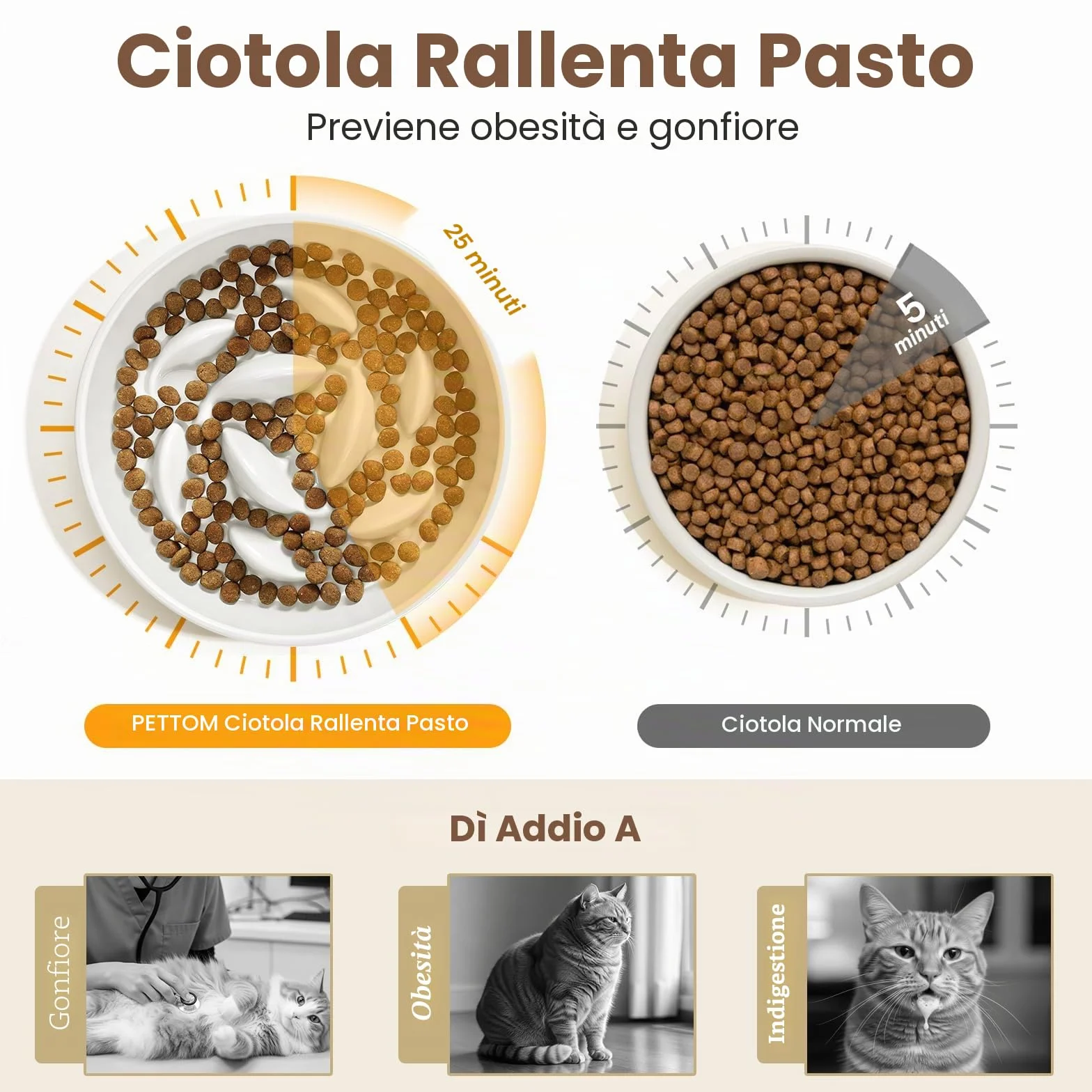 PETTOM Ciotola Anti Ingozzamento Gatto Rialzata, Ceramica Ciotola Gatto Anti Ingozzamento, Ciotole Alimentazione Lenta Gatti Cane Con Bordi Accentuati
