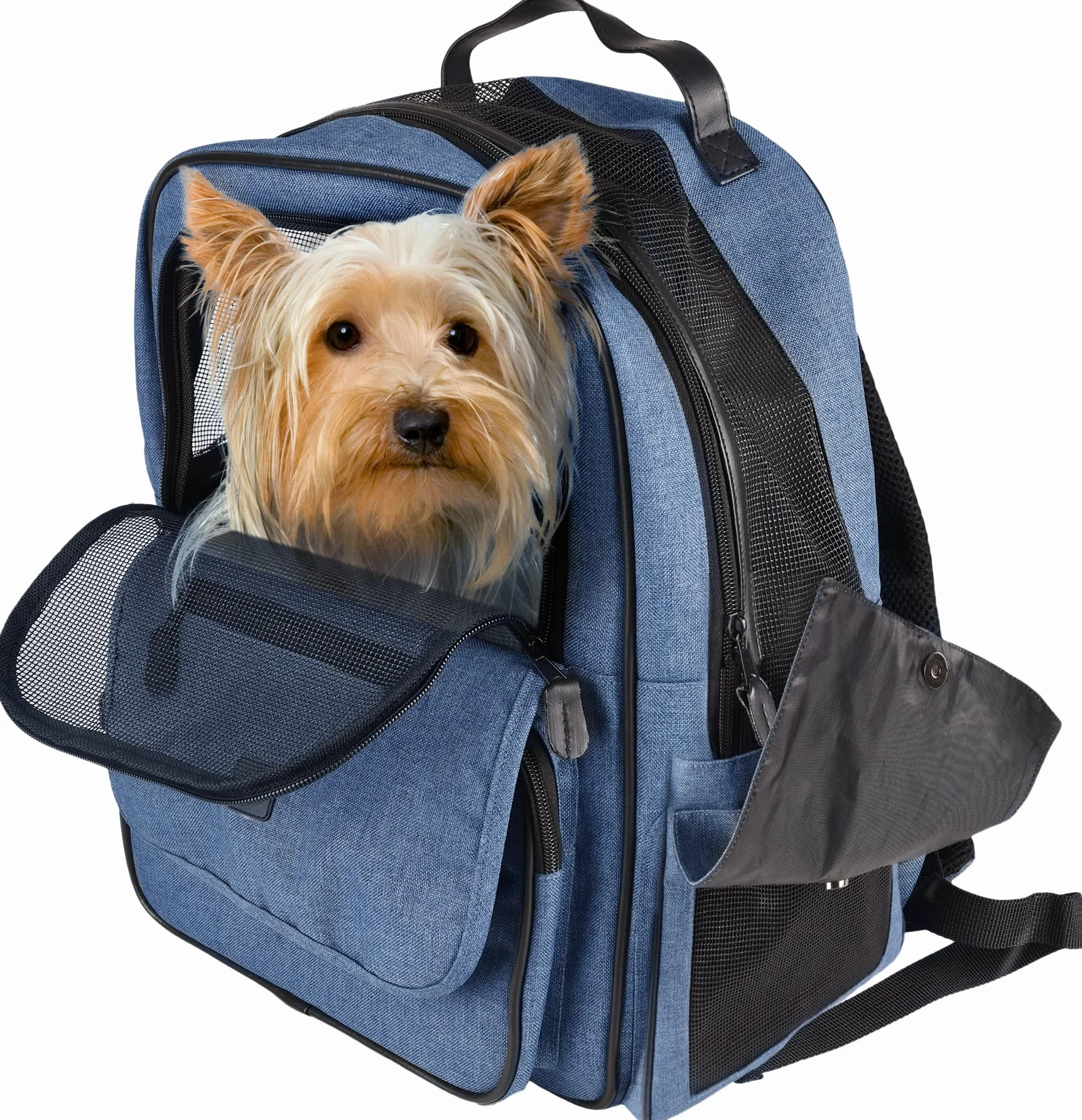 Zaino per cani – gatti – Wiro – Zaino in poliestere con imbottitura, schienale rinforzato e spallacci regolabili