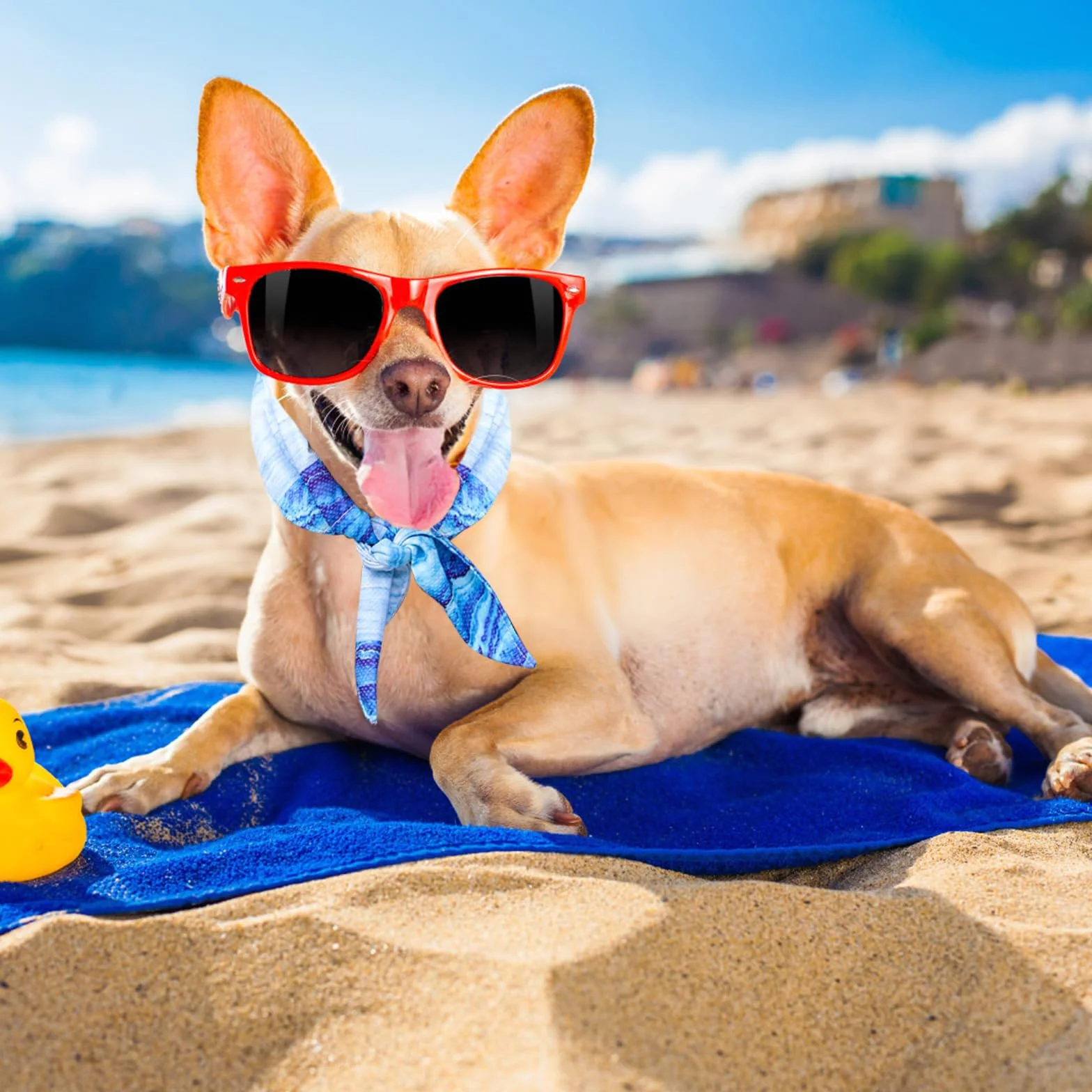 Collare di Raffreddamento per Cani, Bandana Rinfrescante, Traspirante, Taglia M