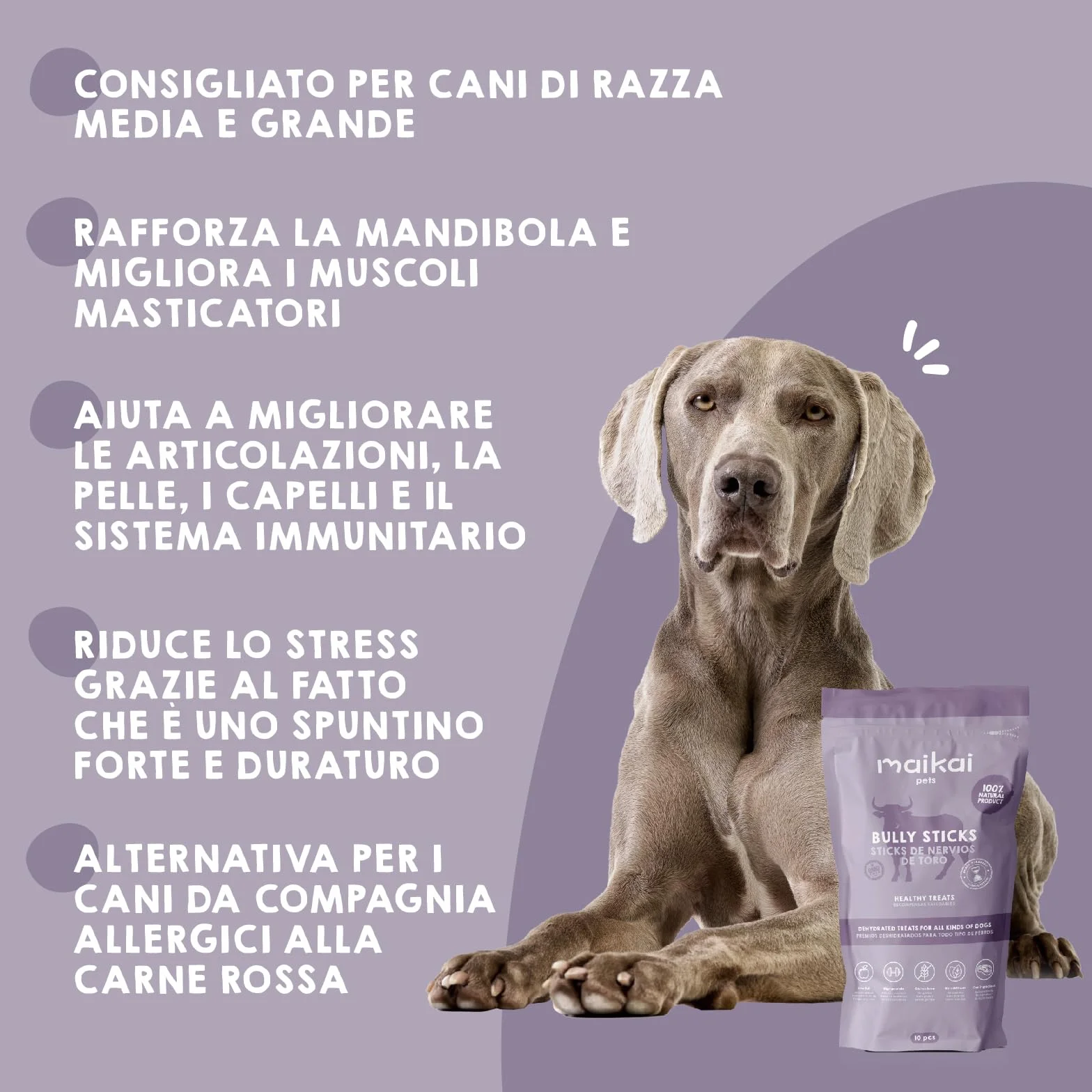 MAIKAI Nervo di Bue Snack 100% Naturali per Cani Tutta le Età + Premietti per l´Addestramento Cuccioli 10 Pezzi Dieta BARF + Bastoncini Ossa Ideali per i Denti - Regali Per Cani