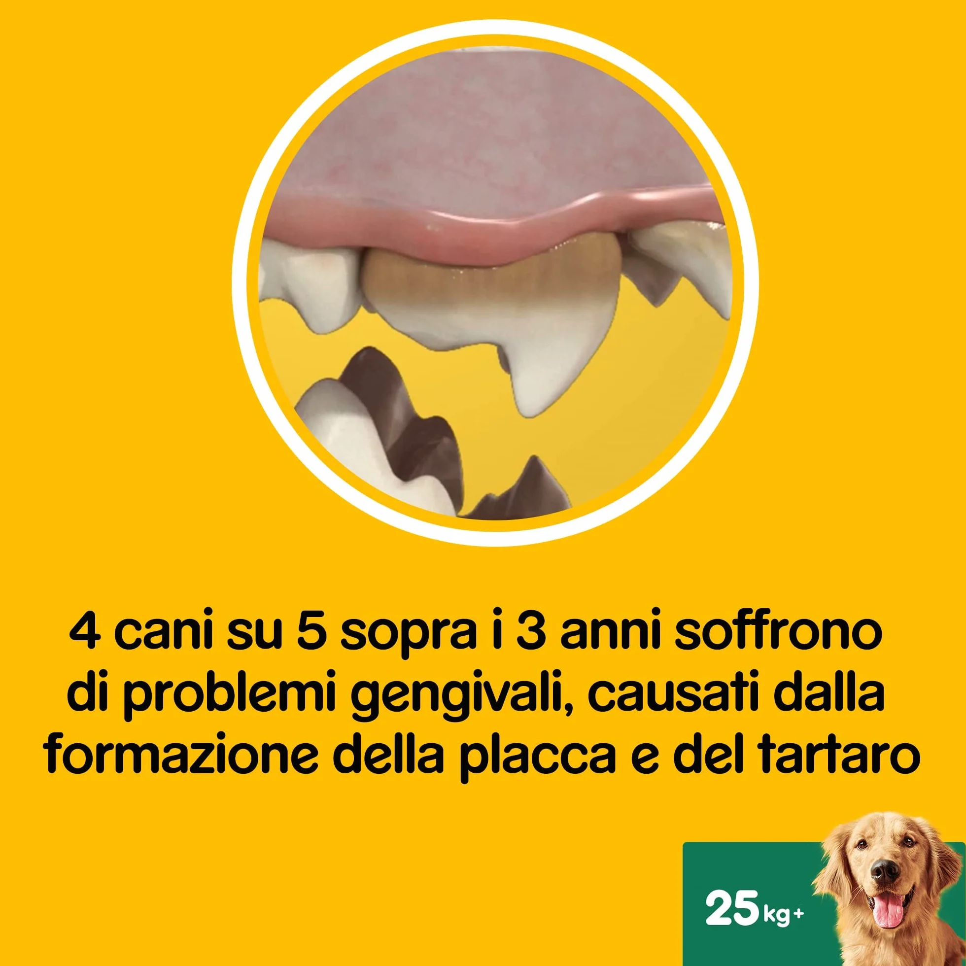 Pedigree Dentastix Snack per la Igiene Orale (Cane Grande +25 kg) 270 g 28 Pezzi - 4 Confezioni da 28 Pezzi (112 Pezzi totali)