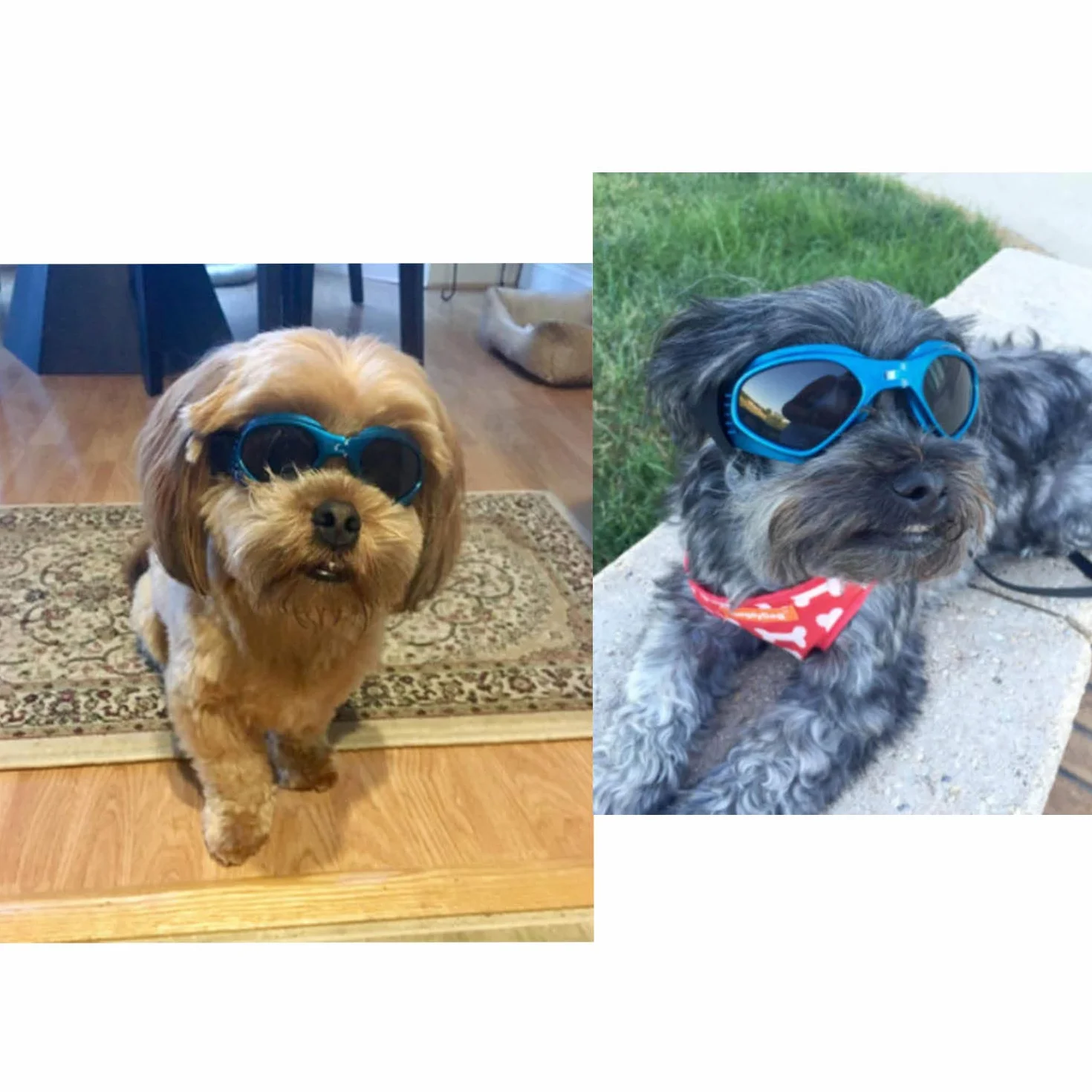 Occhiali da Sole e protettivi per cani di piccoli taglia, anti UV, impermeabili, Pieghevole Pet Dog Occhiali (Blu)