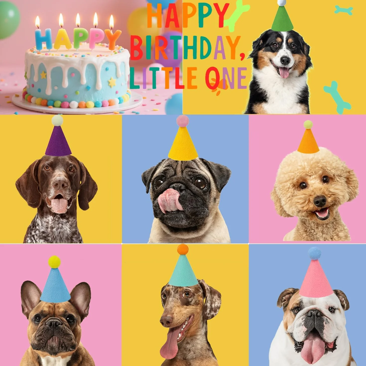 Cappellino di Festa per Animali Carino Colorato Compleanno Gattini Cuccioli Coniglio Regolabile Decorazione 6 Pezzi
