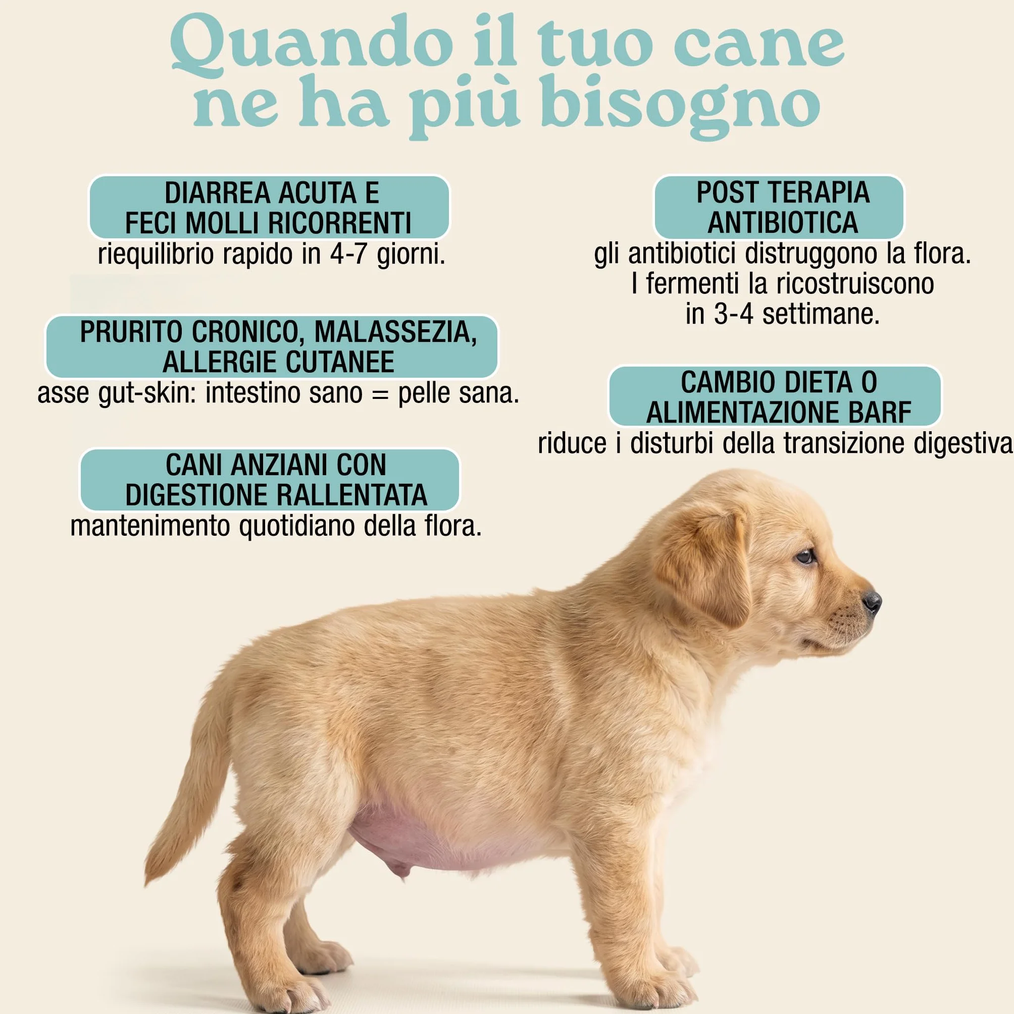 MyPetPrime Fermenti Lattici Cane ACTIVE 30 Cpr Probiotici Digestivi da 6,5 Miliardi con Inulina - Equilibrio Intestinale e Digestione, Ripristino della Flora Batterica, Riduzione di Prurito Cutaneo