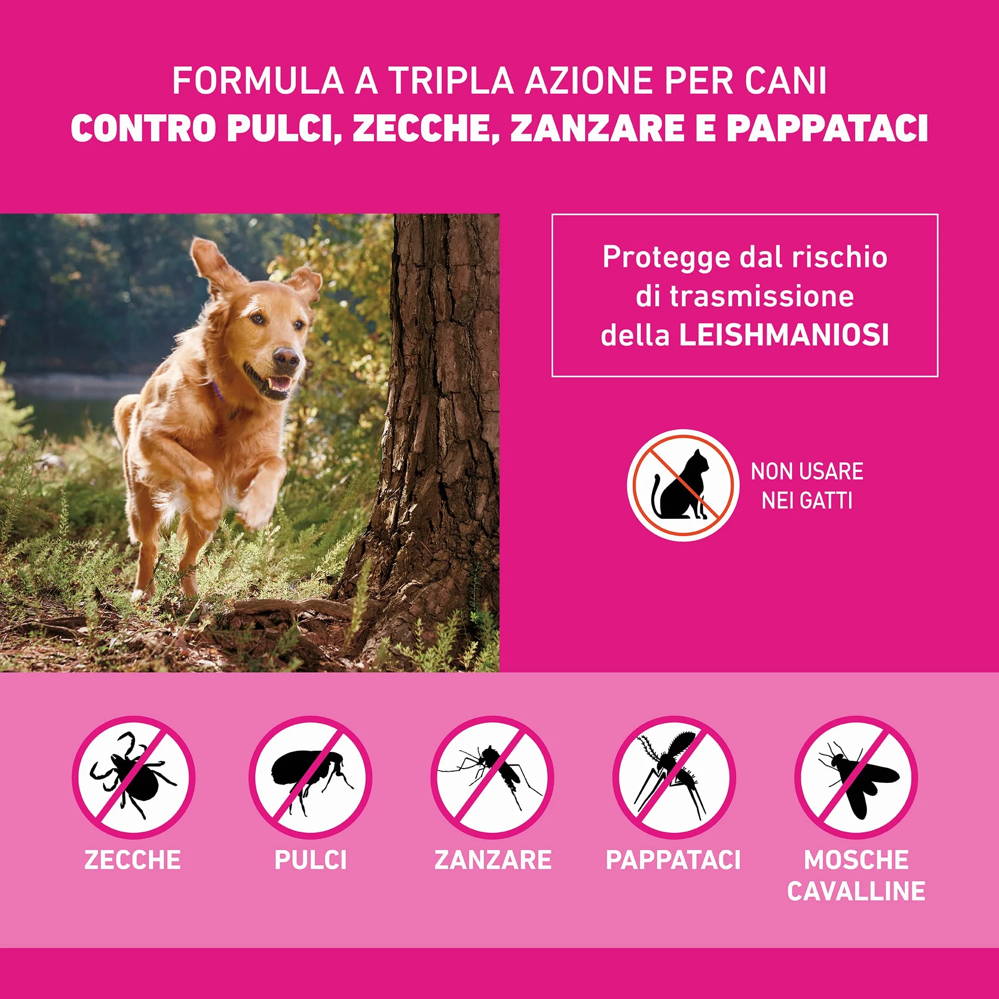 Frontline Triact 6 Pipette Cane L (20-40Kg) Antiparassitario Lunga Durata Protegge da Pulci Zecche Zanzare Pappataci Leishmaniosi