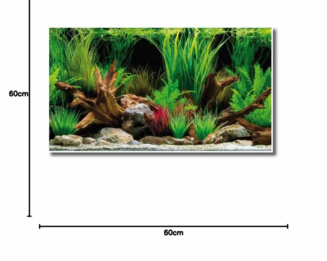 Amtra Wonder - Sfondo acquario, Poster decorativo per acquario con doppia stampa, Formato 60 X 150 CM