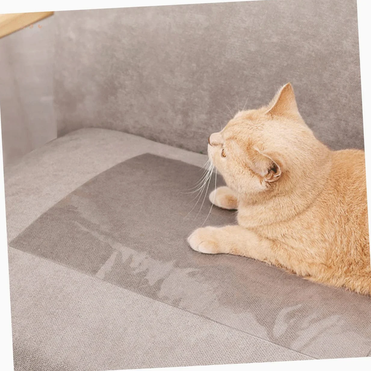 VANZACK 20pezzi Cat Scratch Couch Patch Protezione AntiGraffio per Divano e Mobili Pellicola Adesiva Trasparente per Cat Scratch
