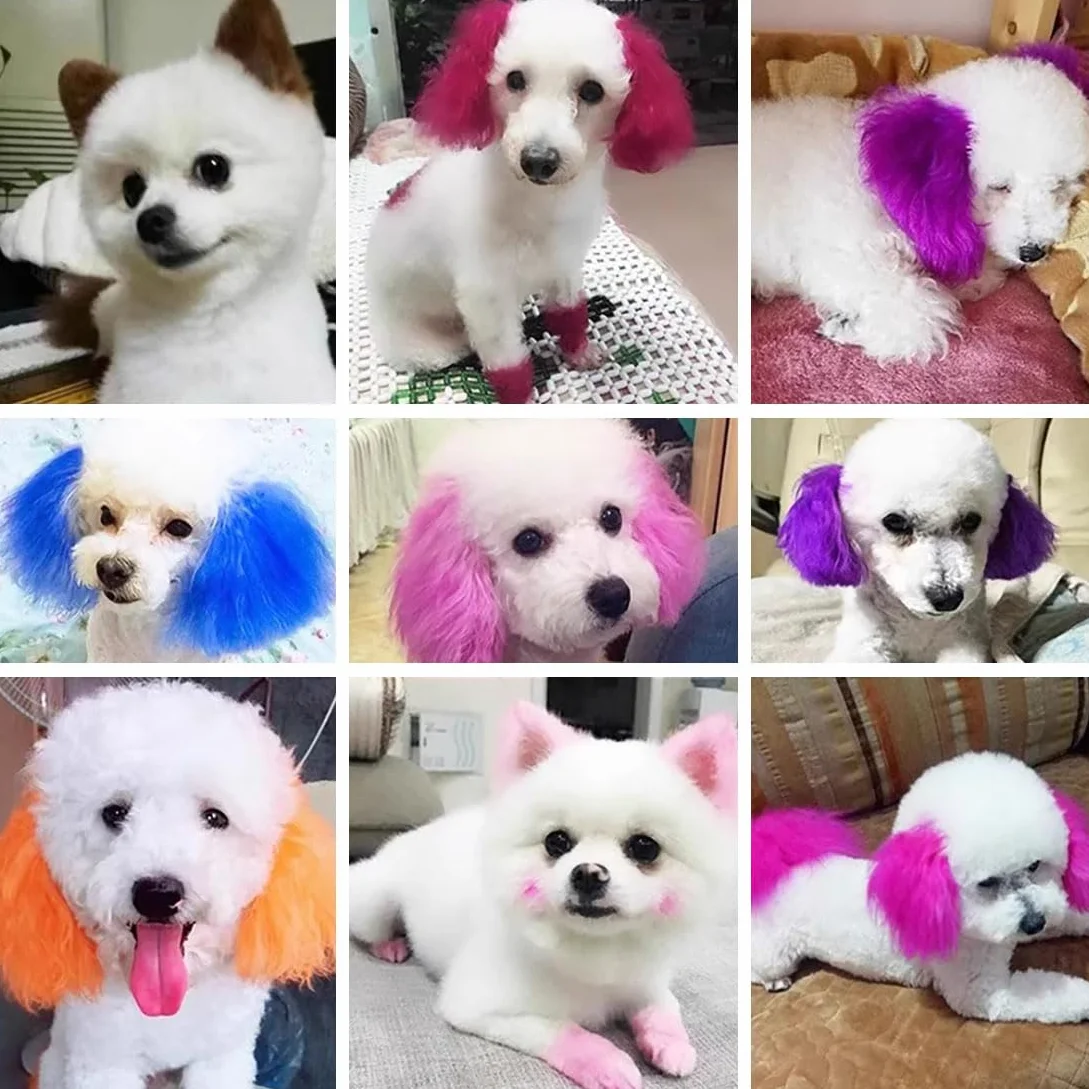 Pet Colorante per Pelo, Tintura Professionale per Animali con Fragranza alla Frutta, 12 Colori Vibranti, Formula Delicata e Duratura, per Cani e Gatti (01# black)