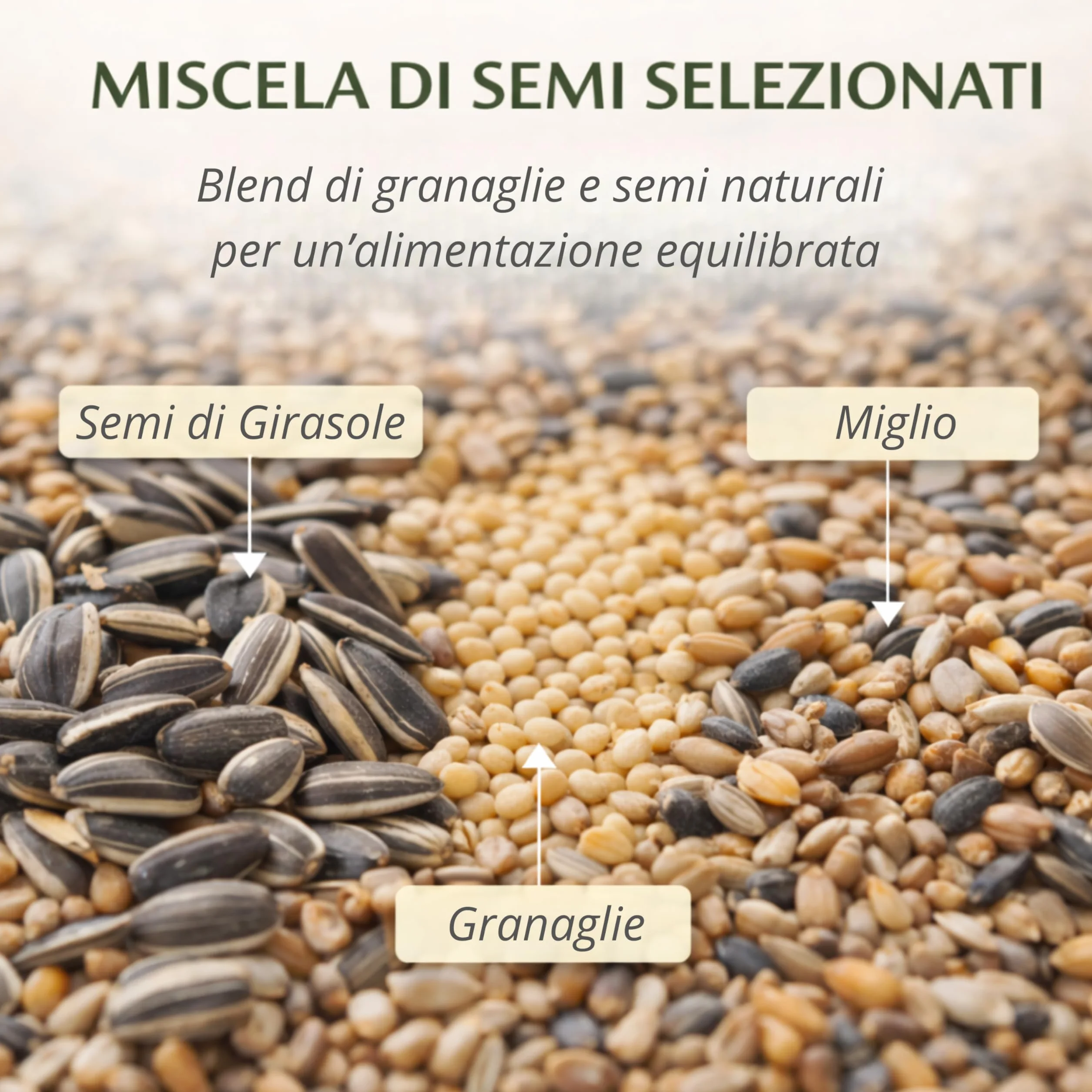 AGRI-CULTURA® | Mangime Uccelli Selvatici 800g | Miscela Semi e Granaglie Naturali per Tutti i tipi di Uccelli | Alimentazione Completa, Ideale per Casette e Aree Protette.