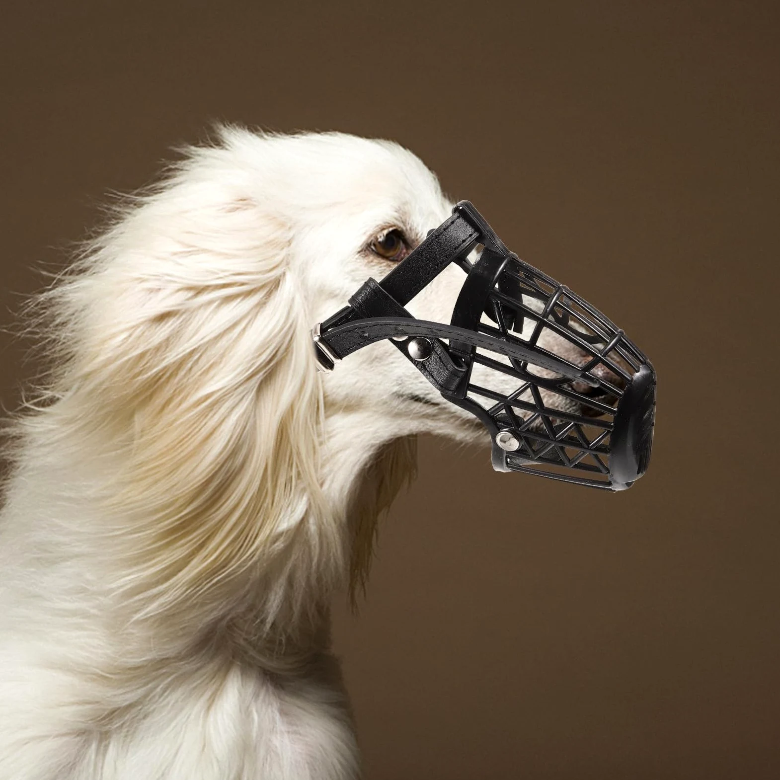 Artibetter Museruola Sicurezza Anti-morso in Plastica con Cinturino Regolabile per Cani in Pu Pelle Nero Design a Gabbia Traspirante per Cani e Animali Domestici