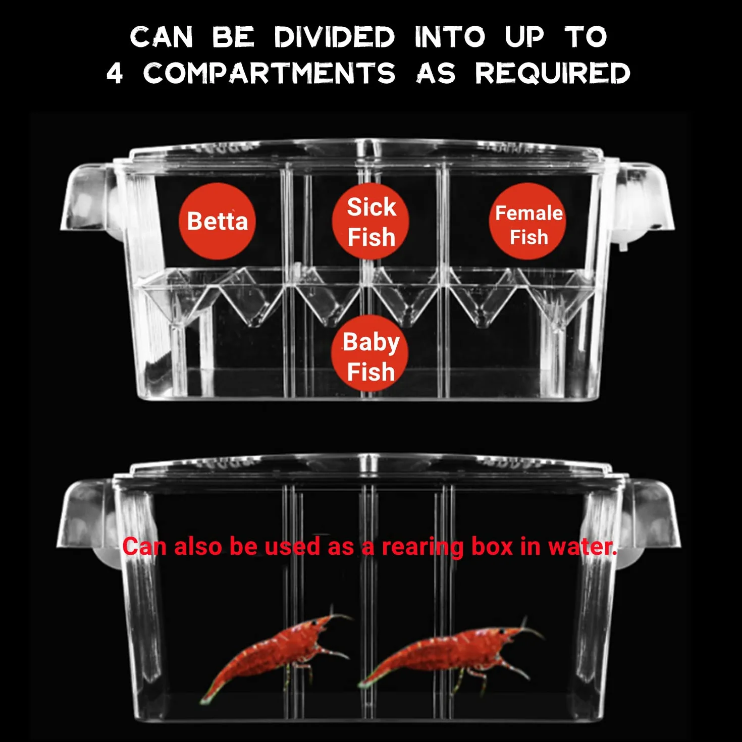 Scatola di Allevamento di Pesci Sale Parto per Pesci 4 IN 1 Serbatoio Incubatrice Incubatrice Acquario Scatola di Isolamento per Gamberetti Bambino Guppy Vassoio di Isolamento Allevamento