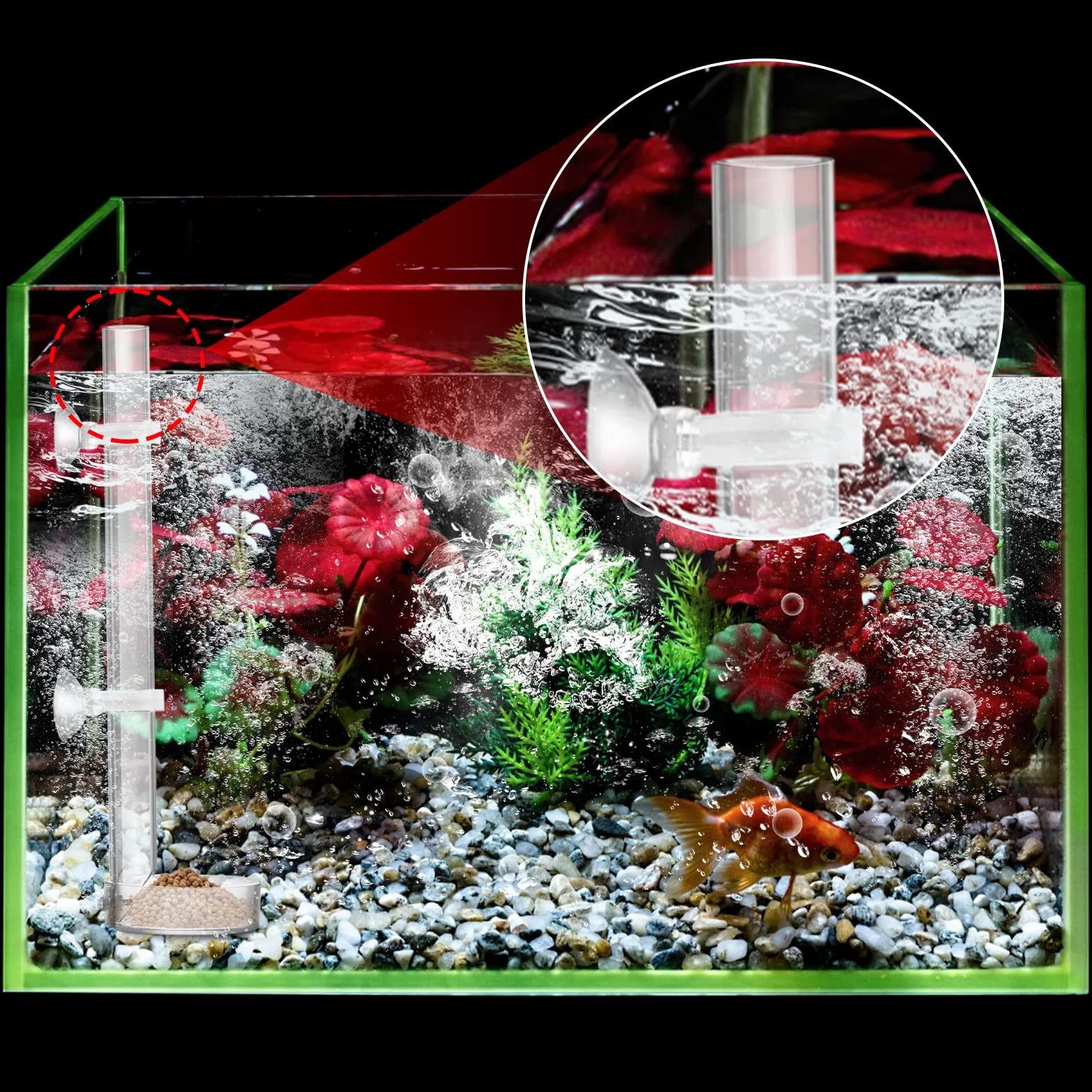 cobee Mangiatoia per Gamberetti in Acrilico, Mangiatoia per Gamberi per Pesci d'Acquario Trasparente Durevole, Tubo per Alimentazione per Gamberetti Assemblato - Tubo da 20 cm e Ciotola da 6,5 cm