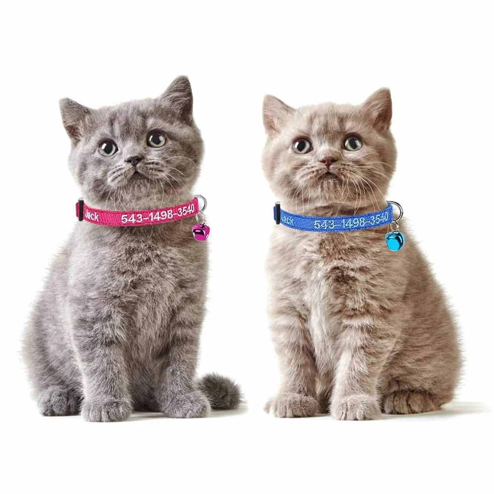 Collare per gatto personalizzato Breakaway con campana, fibbia di sgancio di sicurezza collare per gatto personalizzato, nome identificativo ricamato sul collare per gattino con campana (Rosa rossa)