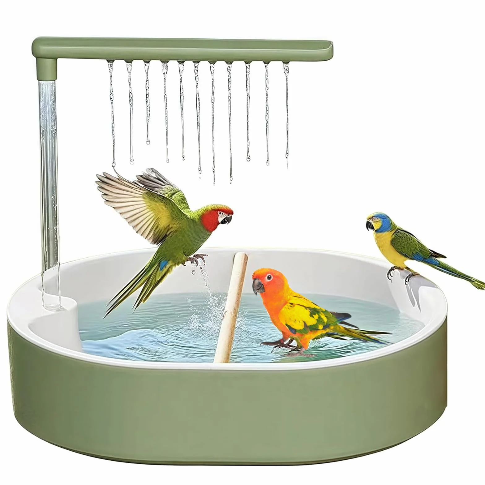 Vasca da Bagno Automatica per Pappagalli Uccello