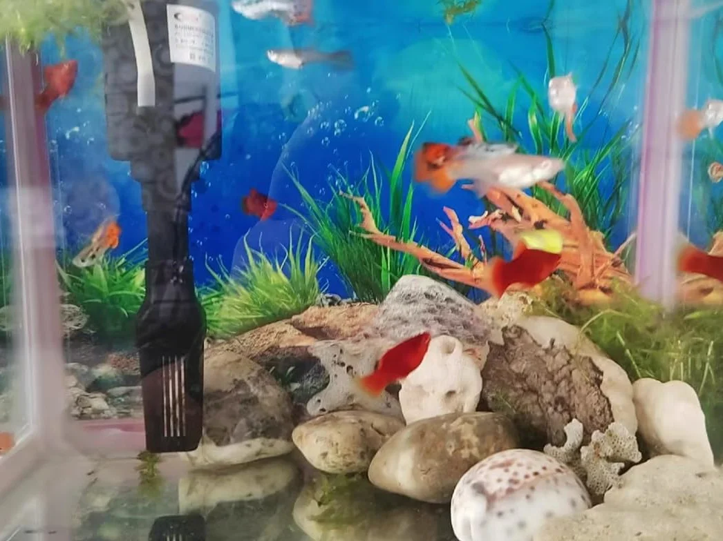 2 Pezzi Acquario Poster Sott'Acqua Fish Tank Sfondo Poster Addensare Adesivo PVC Statico Adesivo Sfondo Carta Decorativa Adesivi (30 * 62cm)