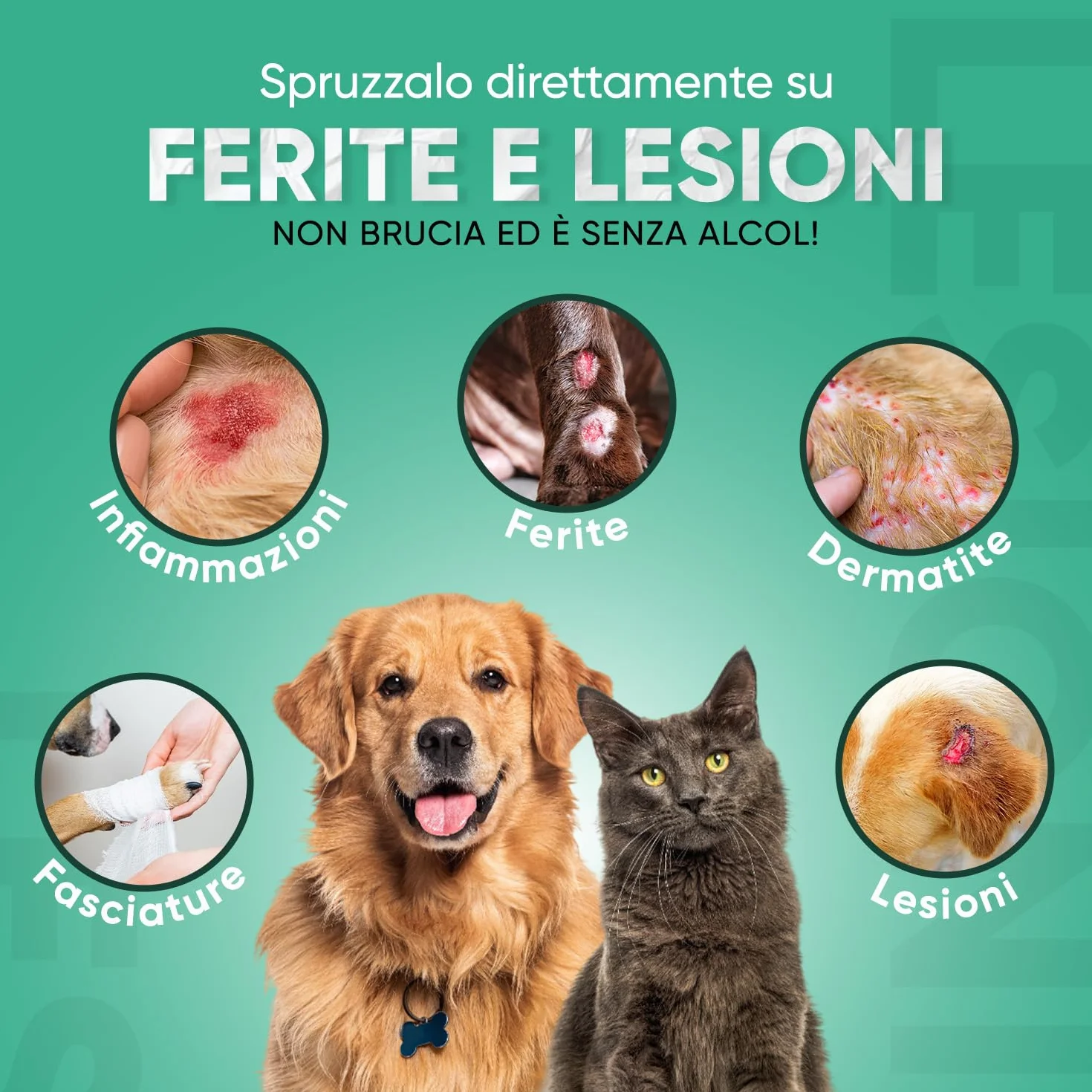 Spray Repellente per Gatti e Cani 250ml, Sapore Amaro, Dissuasore per Gatti e Cani, Spray Anti Graffi Gatto e Cane con Ingredienti Naturali, Disabituante Gatti, Spray Repellente Per Cani Senza Alcool