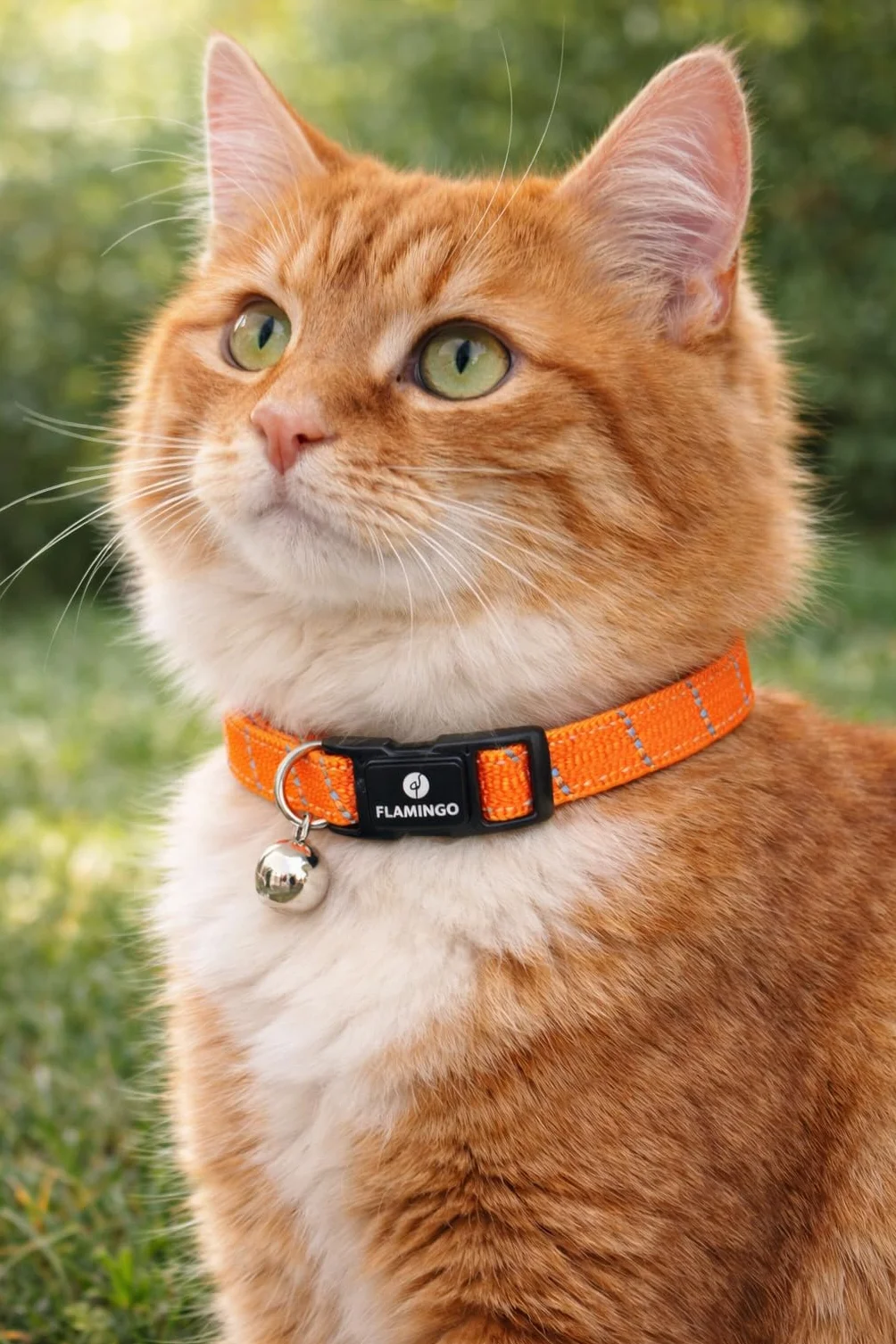 collare gatto - Elza arancione 20–34 cm – nylon elastico riflettente con campanellino