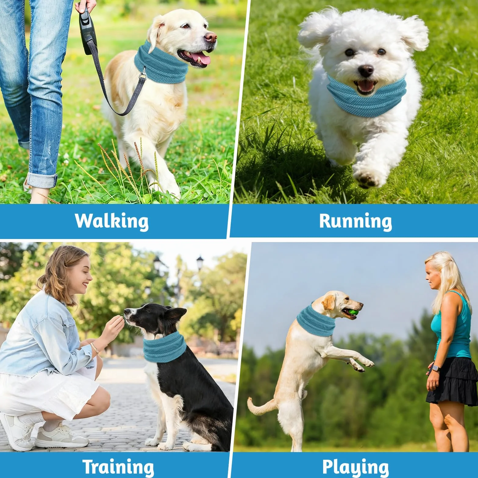 Collare di Raffreddamento per Cani Refrigerante Blu L