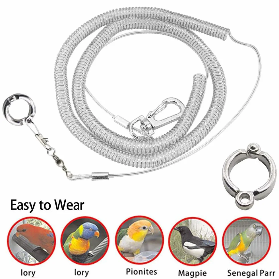 Cavigliera per Uccelli da Compagnia, Catena per Pappagalli Pettorina per Uccelli Pappagallo Ultraleggera Guinzaglio Anti-morso Volo All'aperto Corda da Addestramento Forniture per Animali