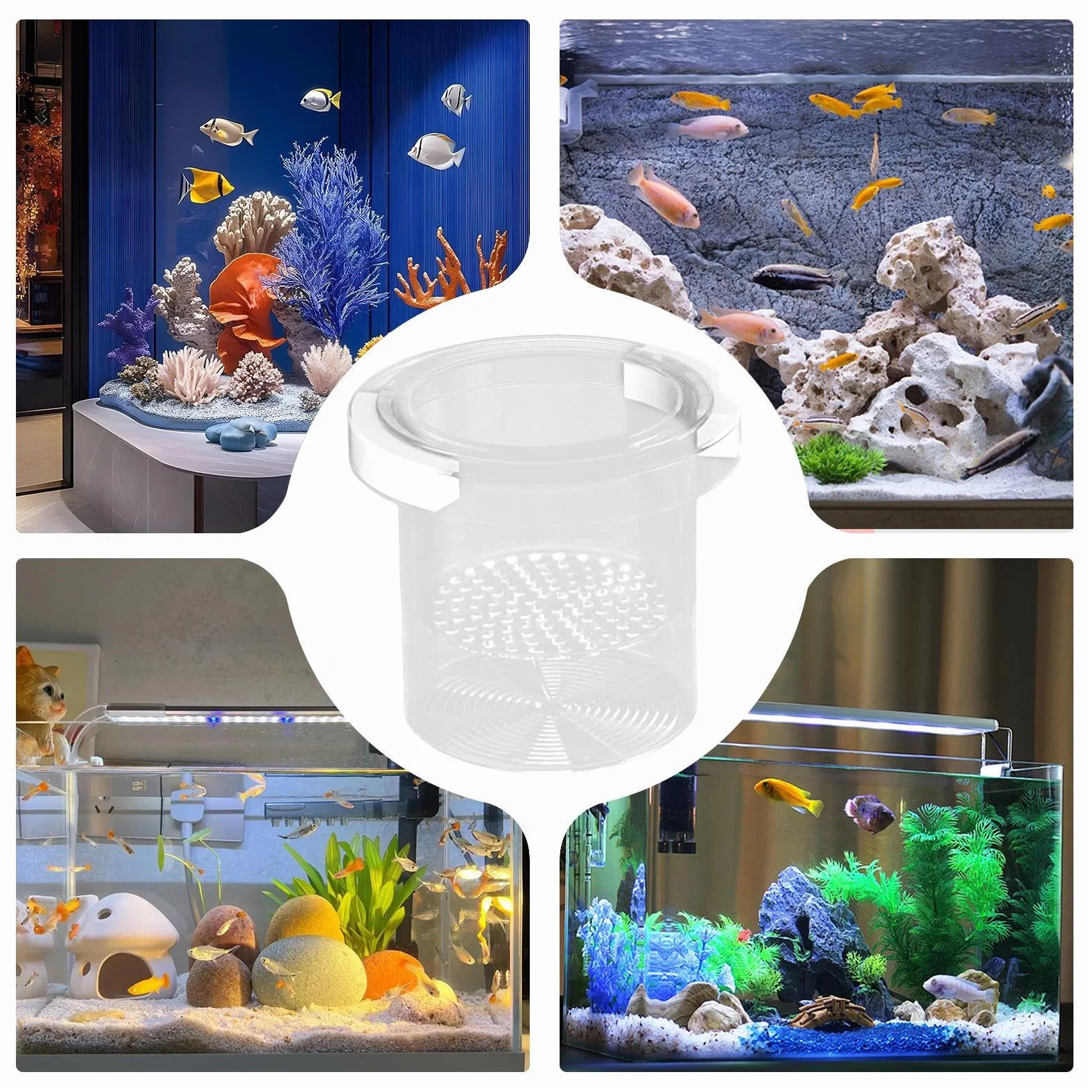 Scatola per allevamento di pesci per acquario, separatore di pesci per acquario, divisore sicuro per vivaio di acclimatazione Guppy gamberetti Betta Fry Hatchery