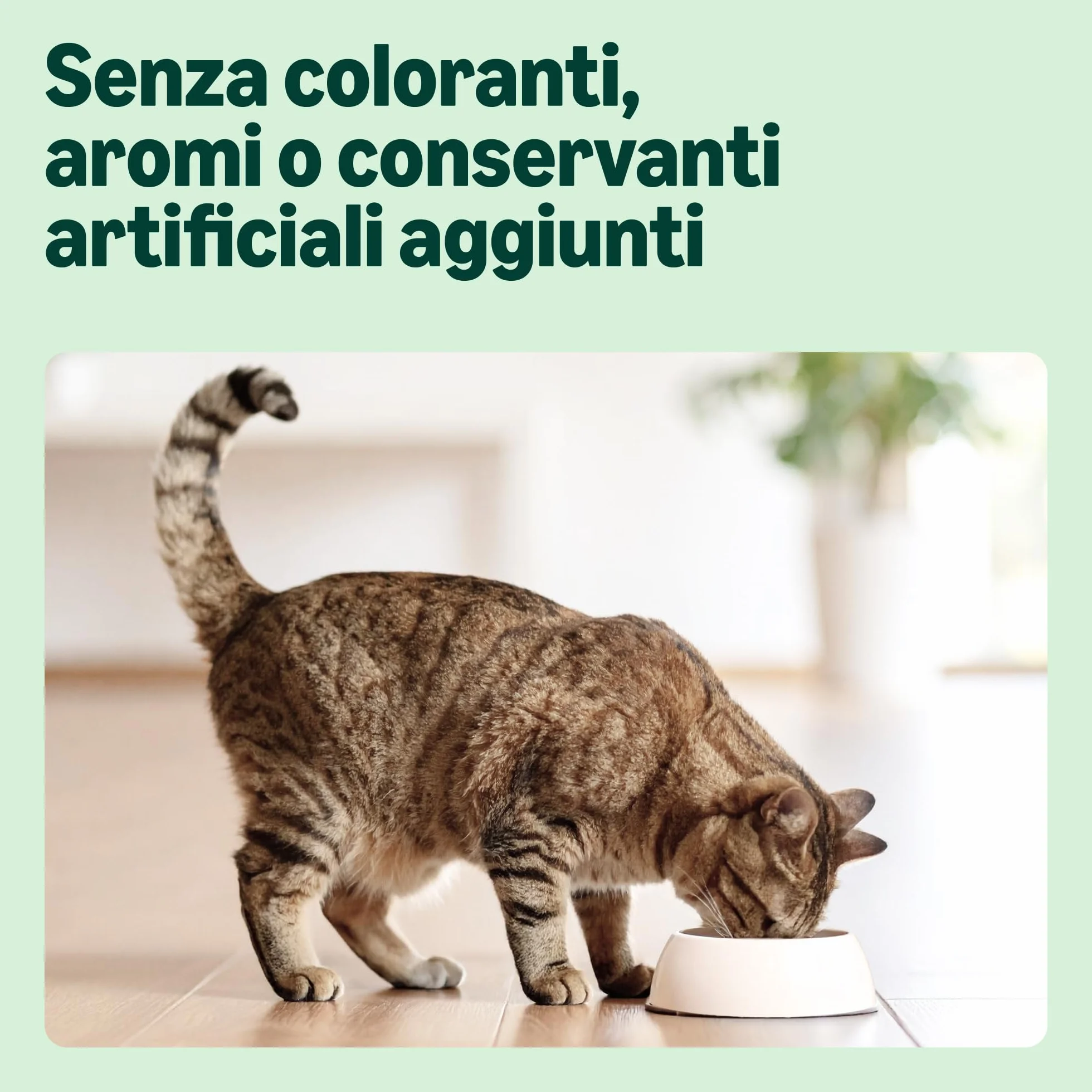 Alimento secco completo per gatti adulti con pollo, tacchino e verdure, 3 kg