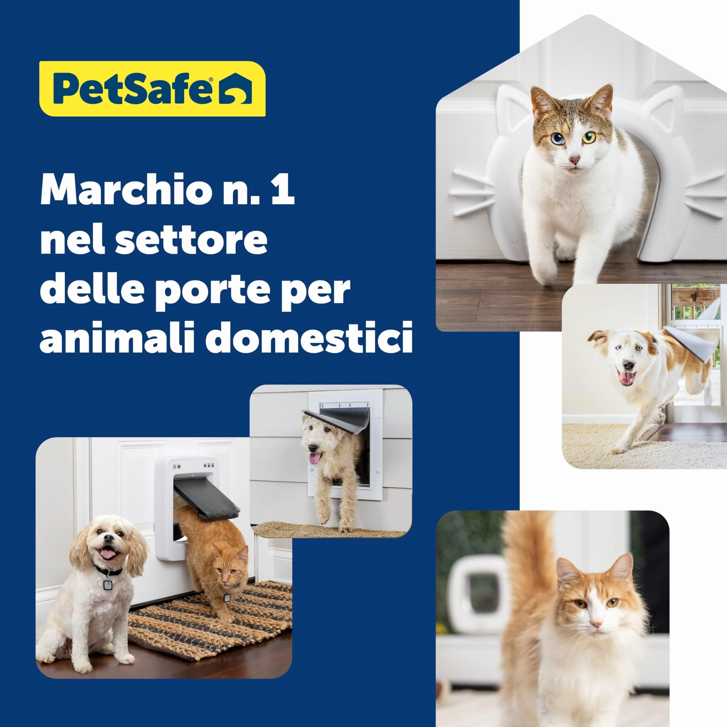 PetSafe Gattaiola per Condizioni Meteo Estreme in Plastica ad Alta Efficienza Energetica per Cani e Gatti - Sistema Flap Isolato - Telaio Resistente, Media (M)