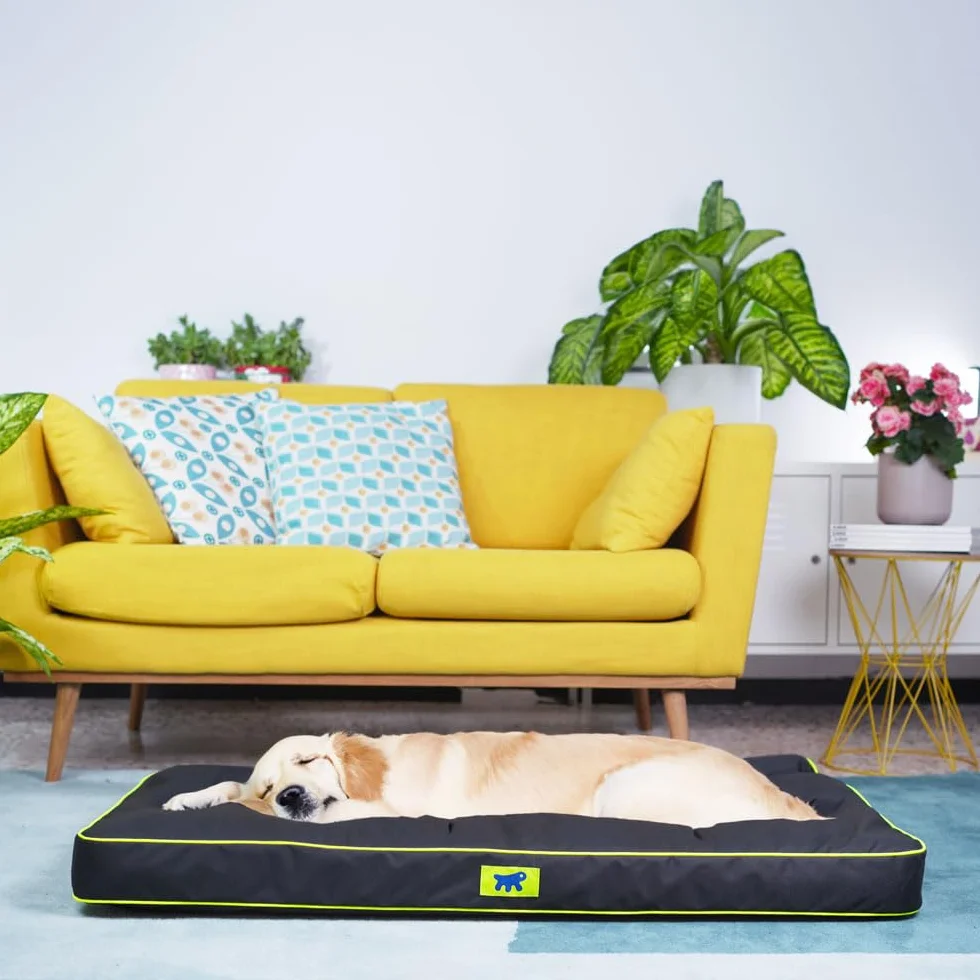 Ferplast Cuccia Ortopedica per Cani Extra Large Impermeabile Antigraffio Polo 110x70x8 cm Nera