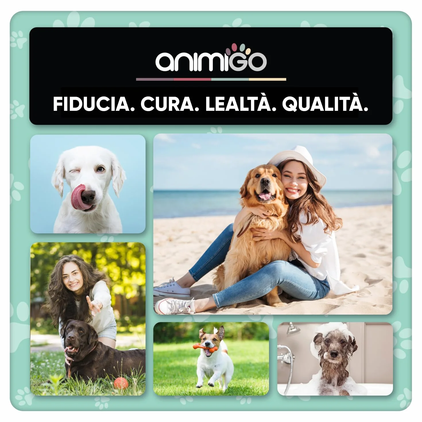 Collare Antiabbaio per Cani Educativo e Innocuo, Collare Cane Vibrazione con 8 Livelli e Suoni Regolabili, Collare Addestramento Cani Fino a 70kg, Senza Scossa, Ricaricabile, 7 Livelli di Sensibilità