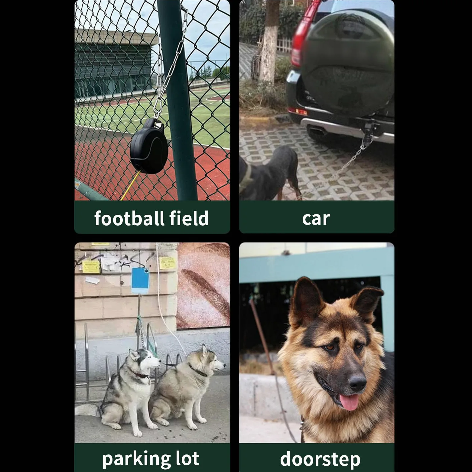 Guinzaglio A Corda Per Cani Resistente per Cani e Altri Animali | Estensibile da Parete per Cuccioli e Cani per Passeggiate Corse Campeggio Spiaggia Cortile Giardino Razze Piccole