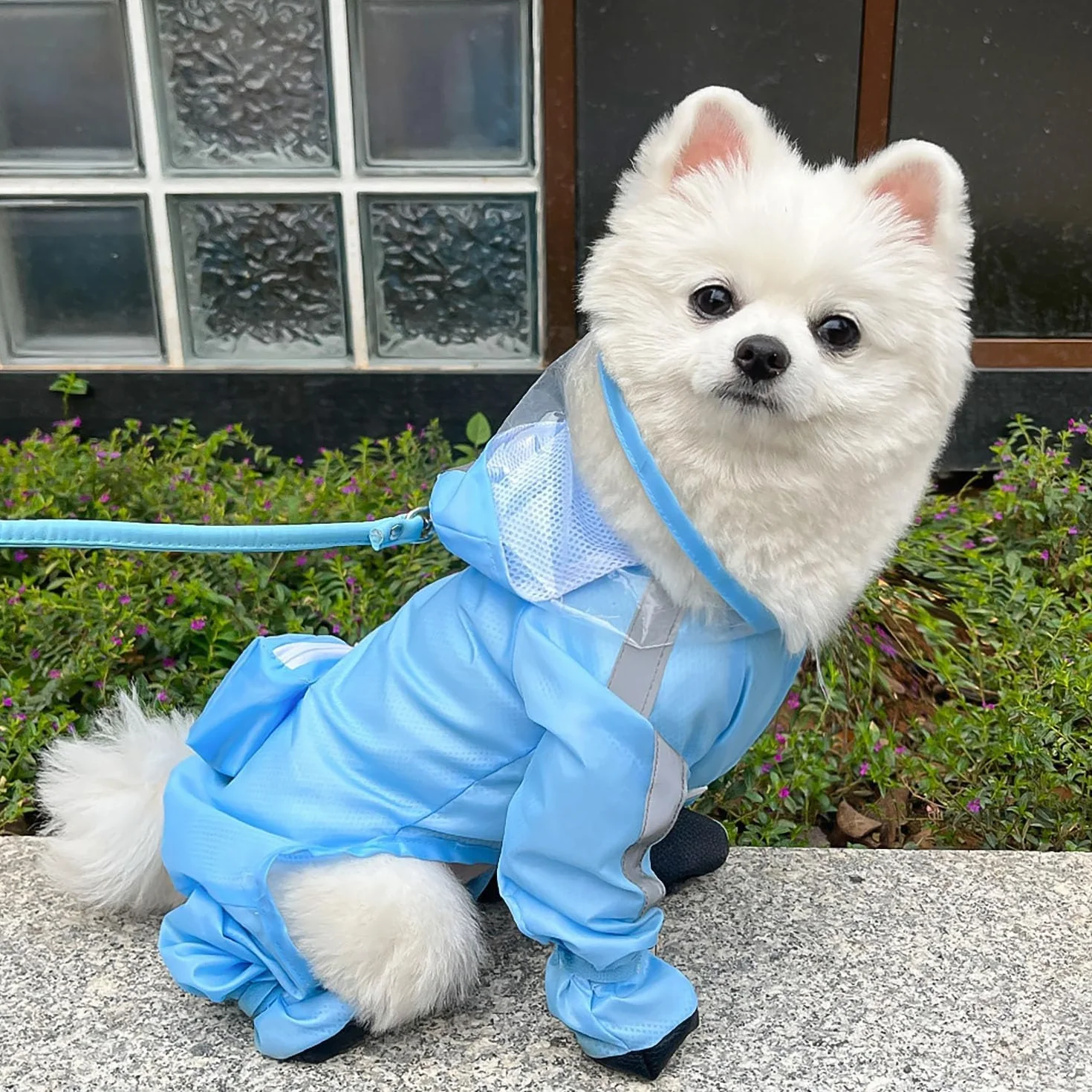 Impermeabile per cani con cappuccio - Tuta impermeabile a copertura completa per quattro zampe con scarpe, asciugatura rapida, per animali domestici, per cani di taglia piccola, media e